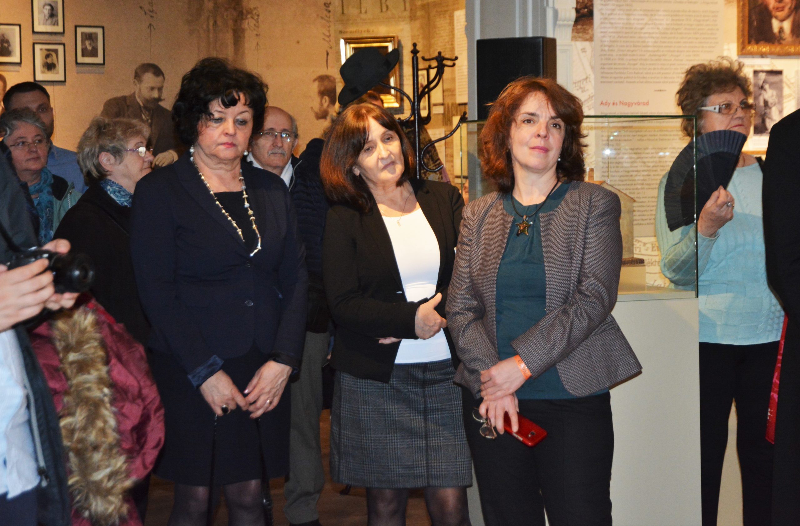 muzeul ady endre oradea (52)