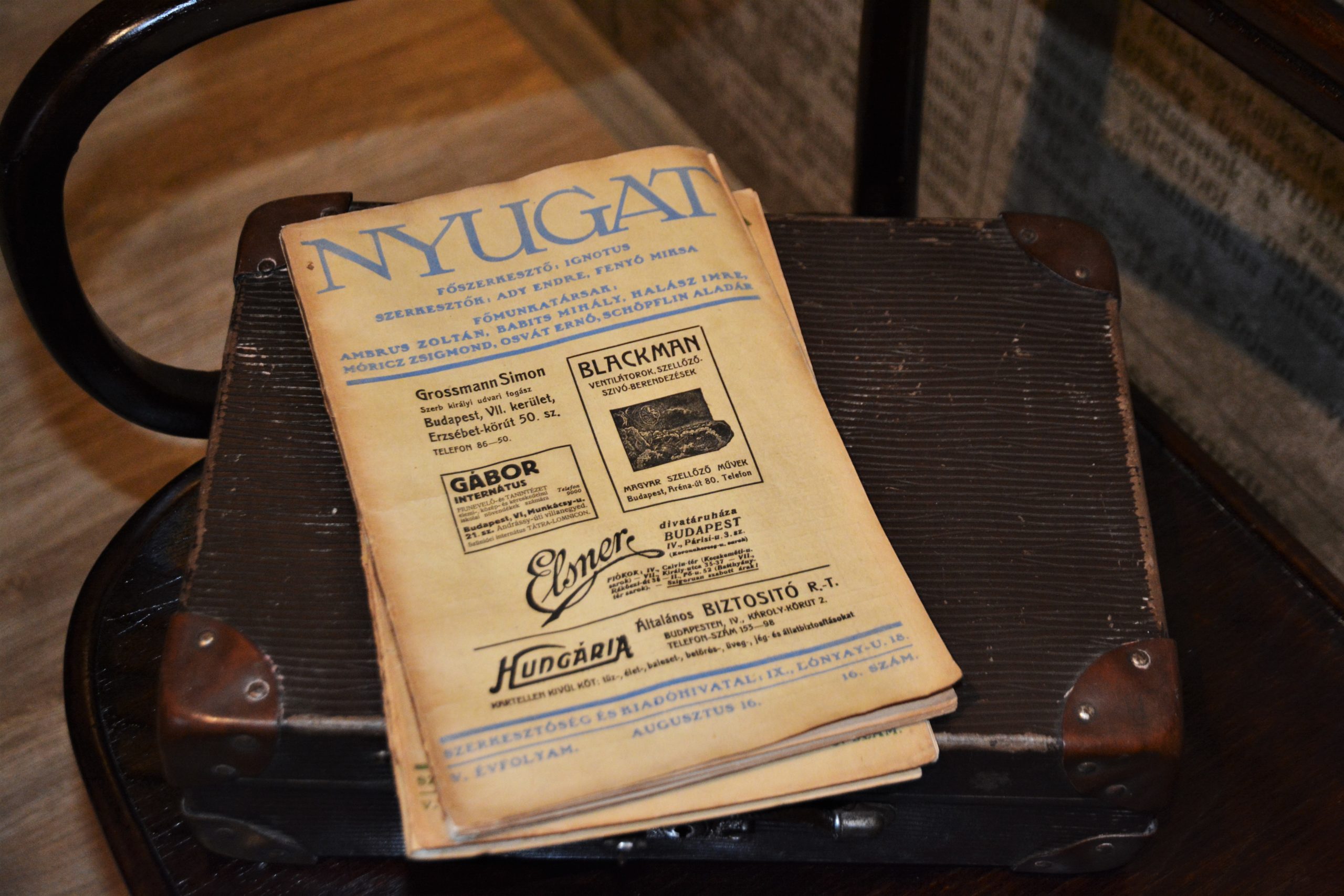 muzeul ady endre oradea (64)