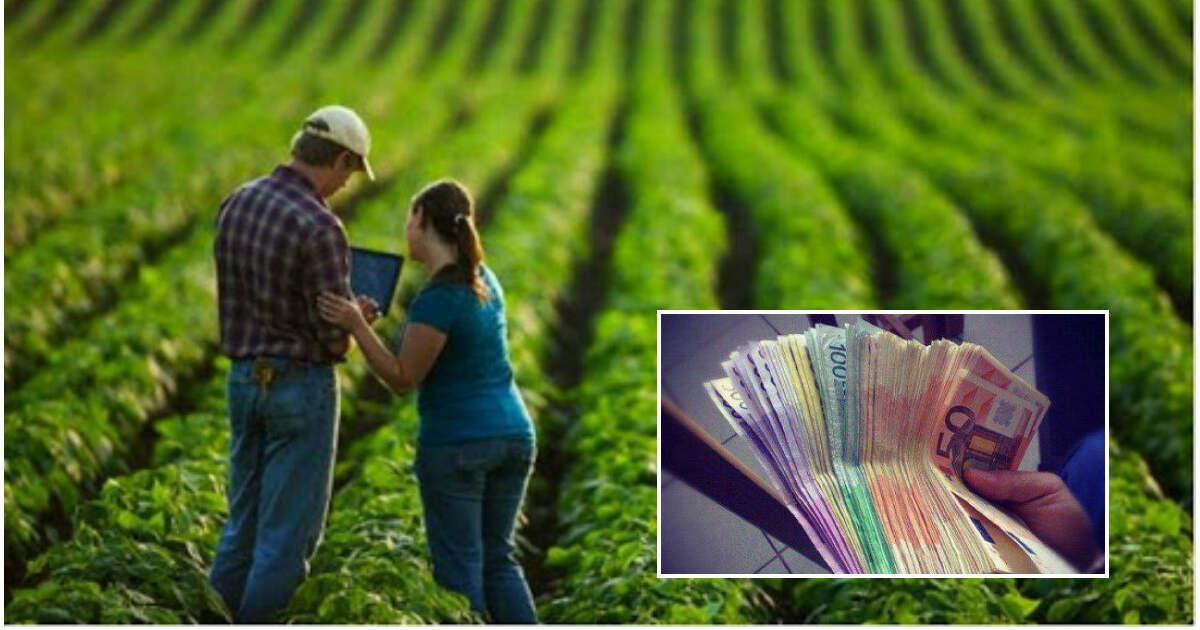 100.000 de euro pentru fiecare fermier român - BIHON