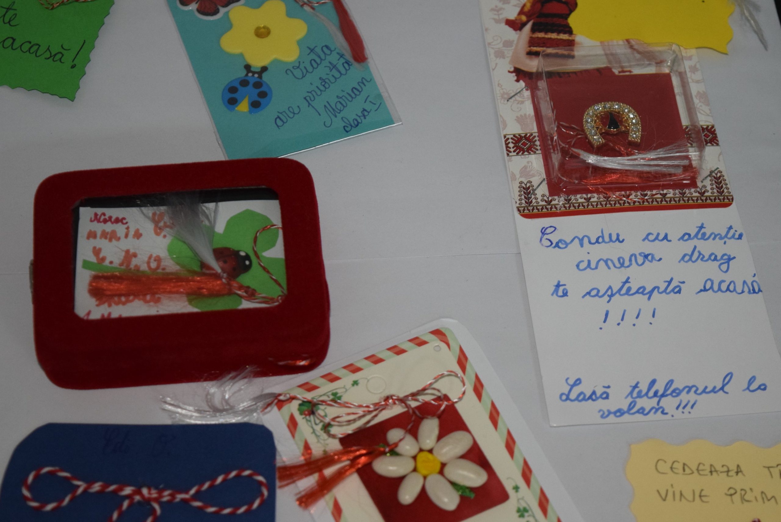 FOTO 10 MARTISOARE IN TRAFIC