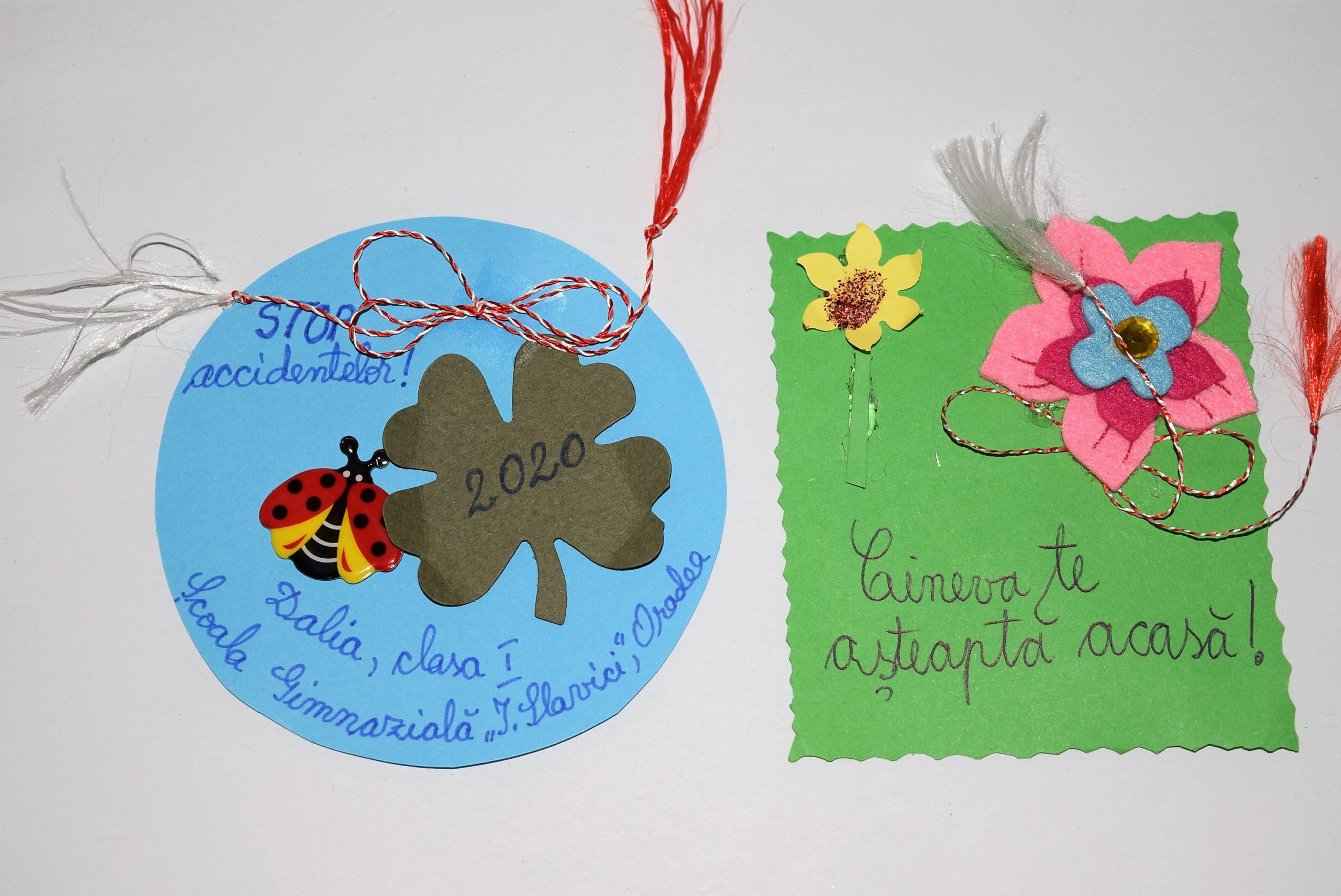 FOTO 15 MARTISOARE IN TRAFIC