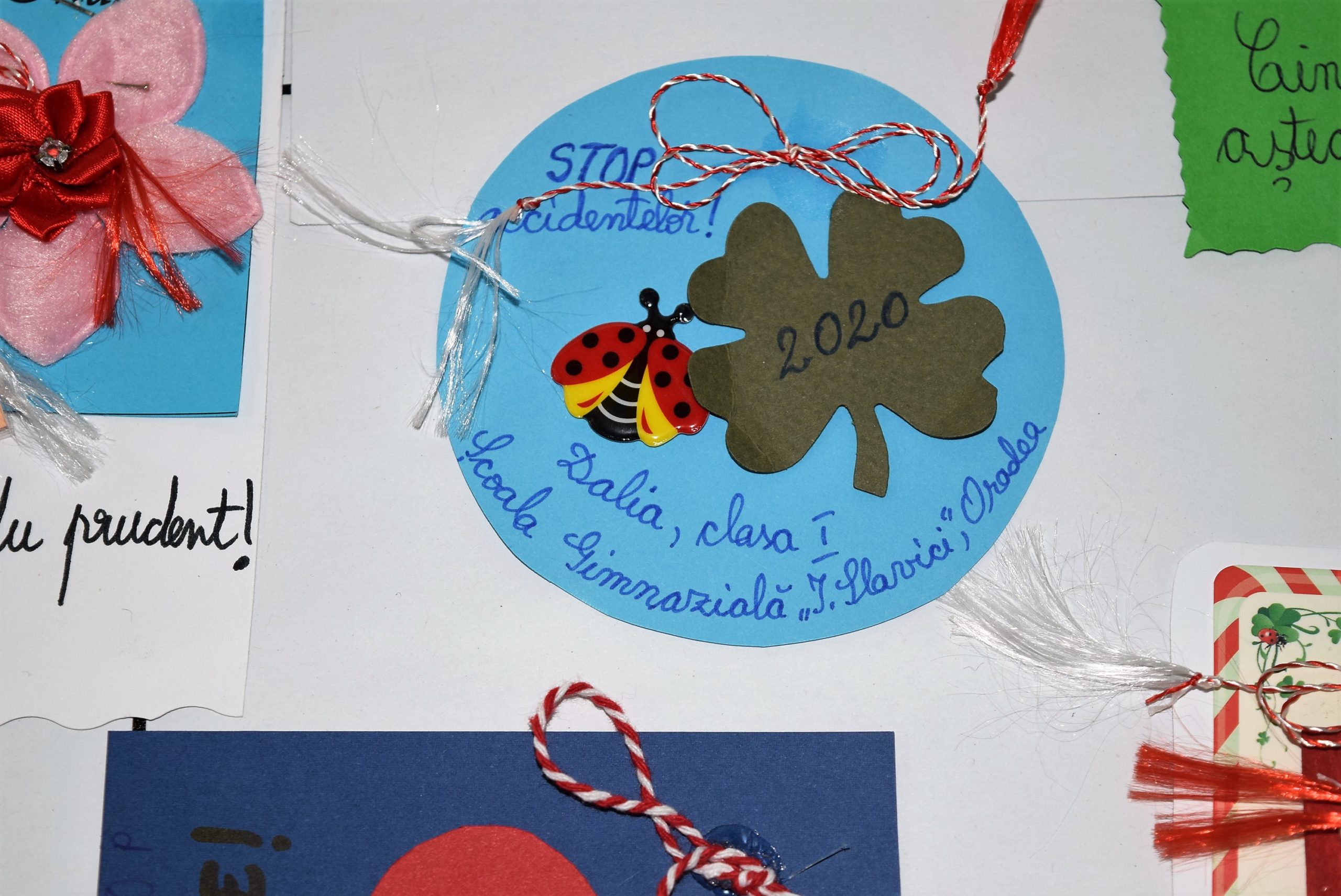 FOTO 16 MARTISOARE IN TRAFIC