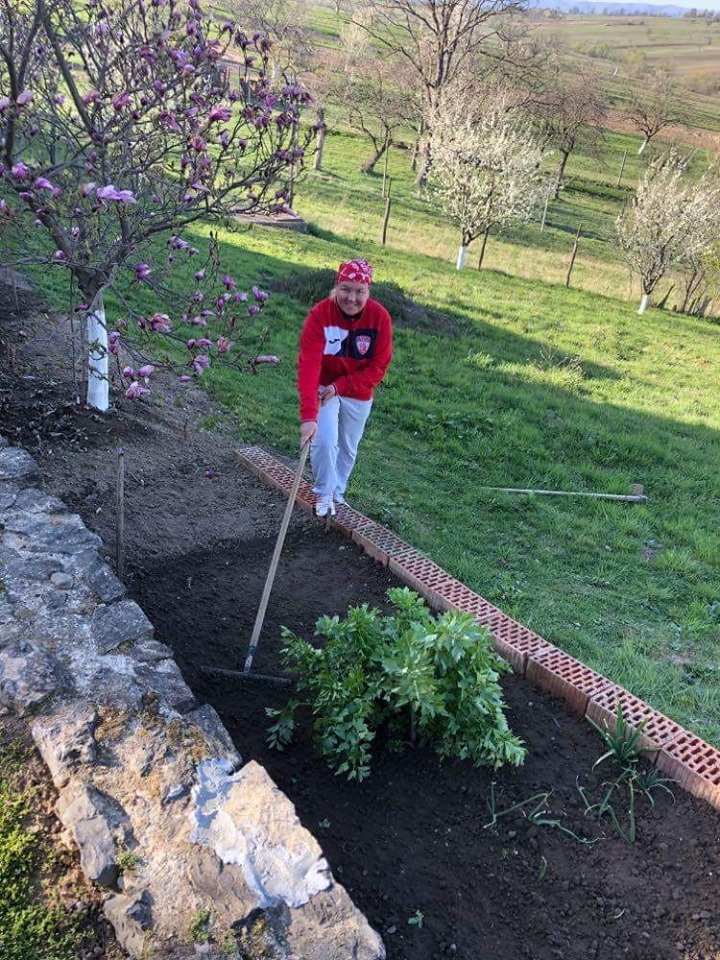 93323705_551183135538942_7528290509756825600_n