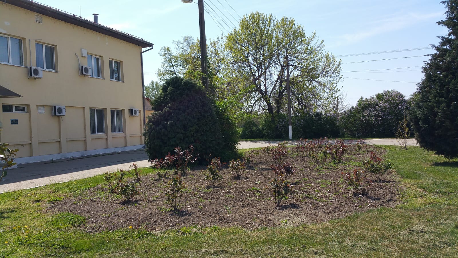 WhatsApp Image 2020-04-28 at 16.35.26