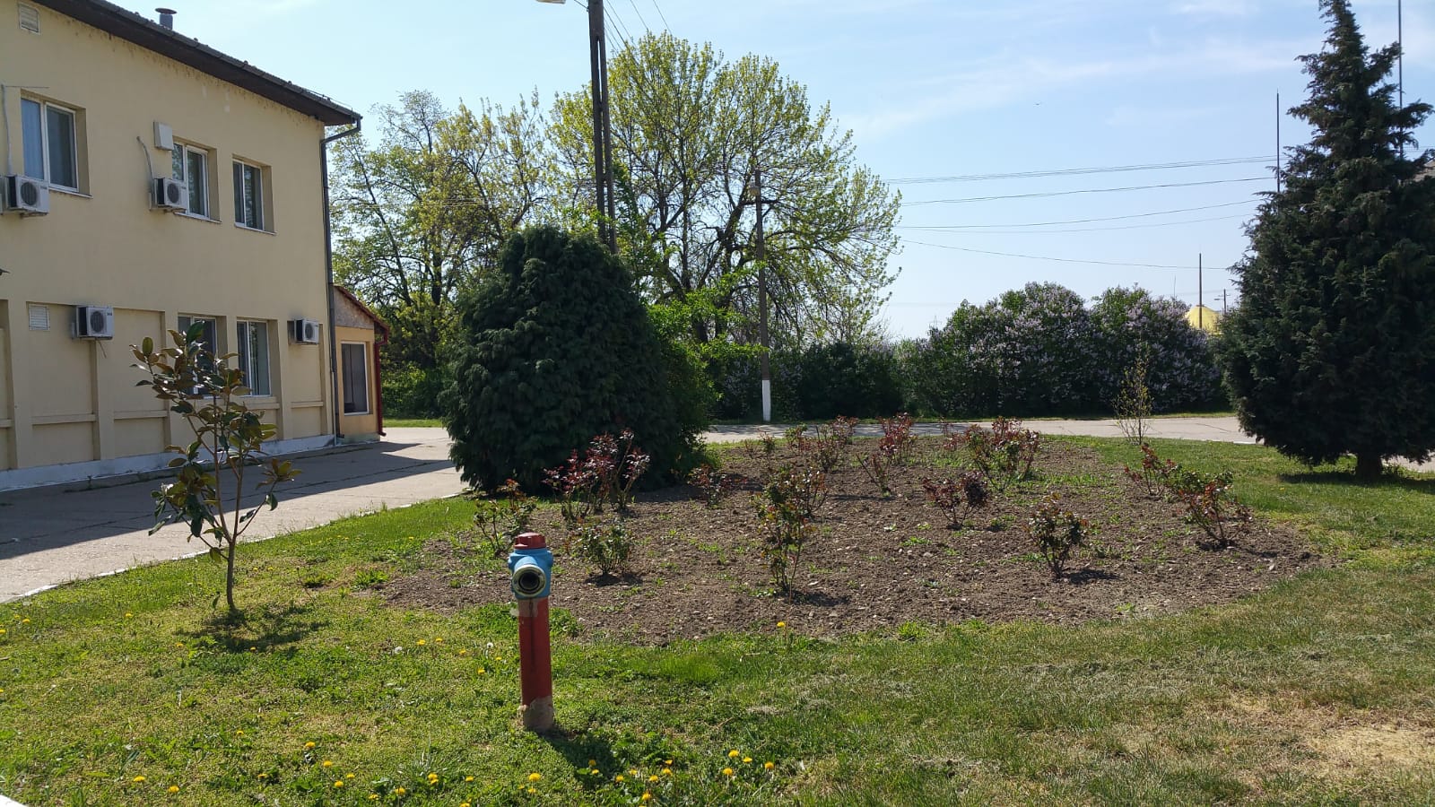 WhatsApp Image 2020-04-28 at 16.35.26 (1)