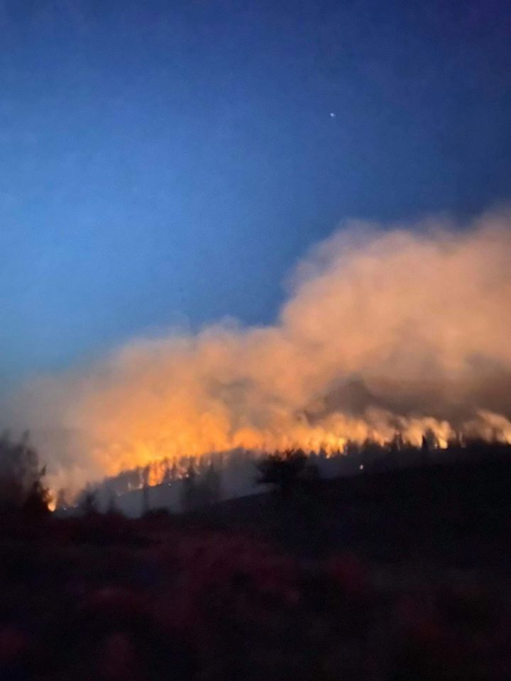 incendiu padure manastirea izbuc 1