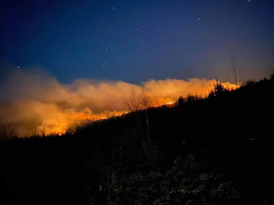 incendiu padure manastirea izbuc 2