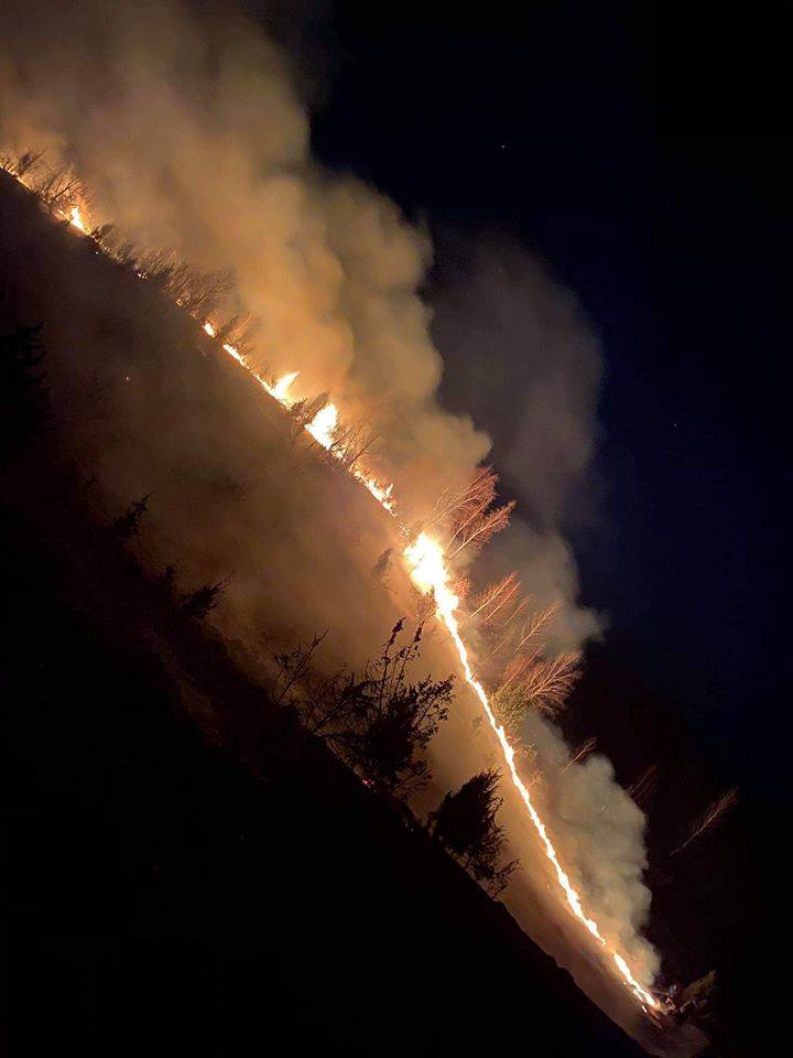 incendiu padure manastirea izbuc 3