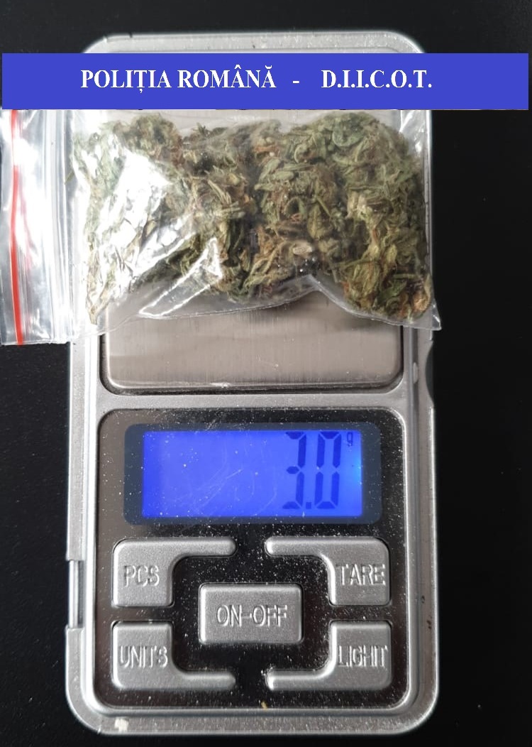 trafic de droguri salonta (3)