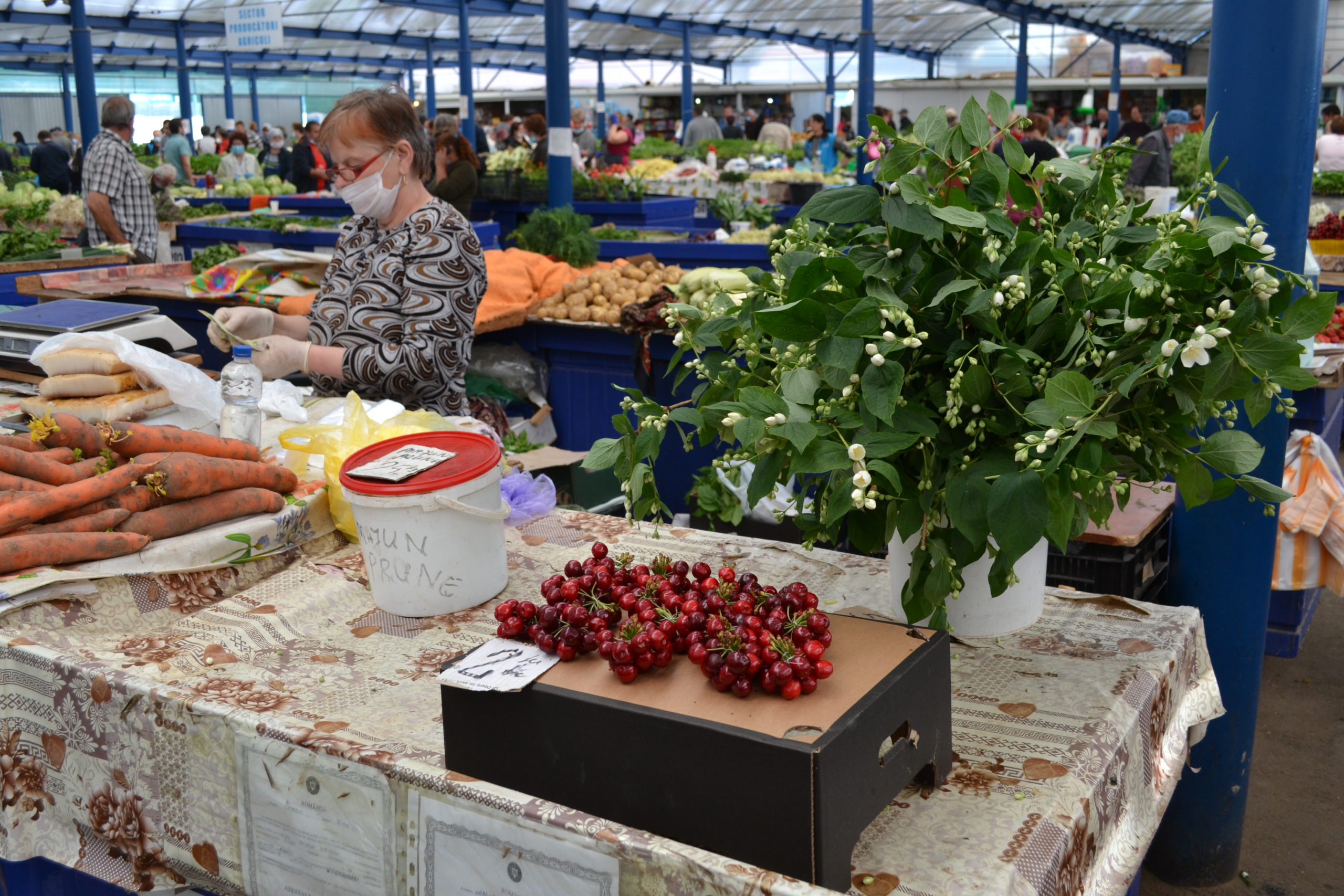 Bazar Piata Cetate (28)