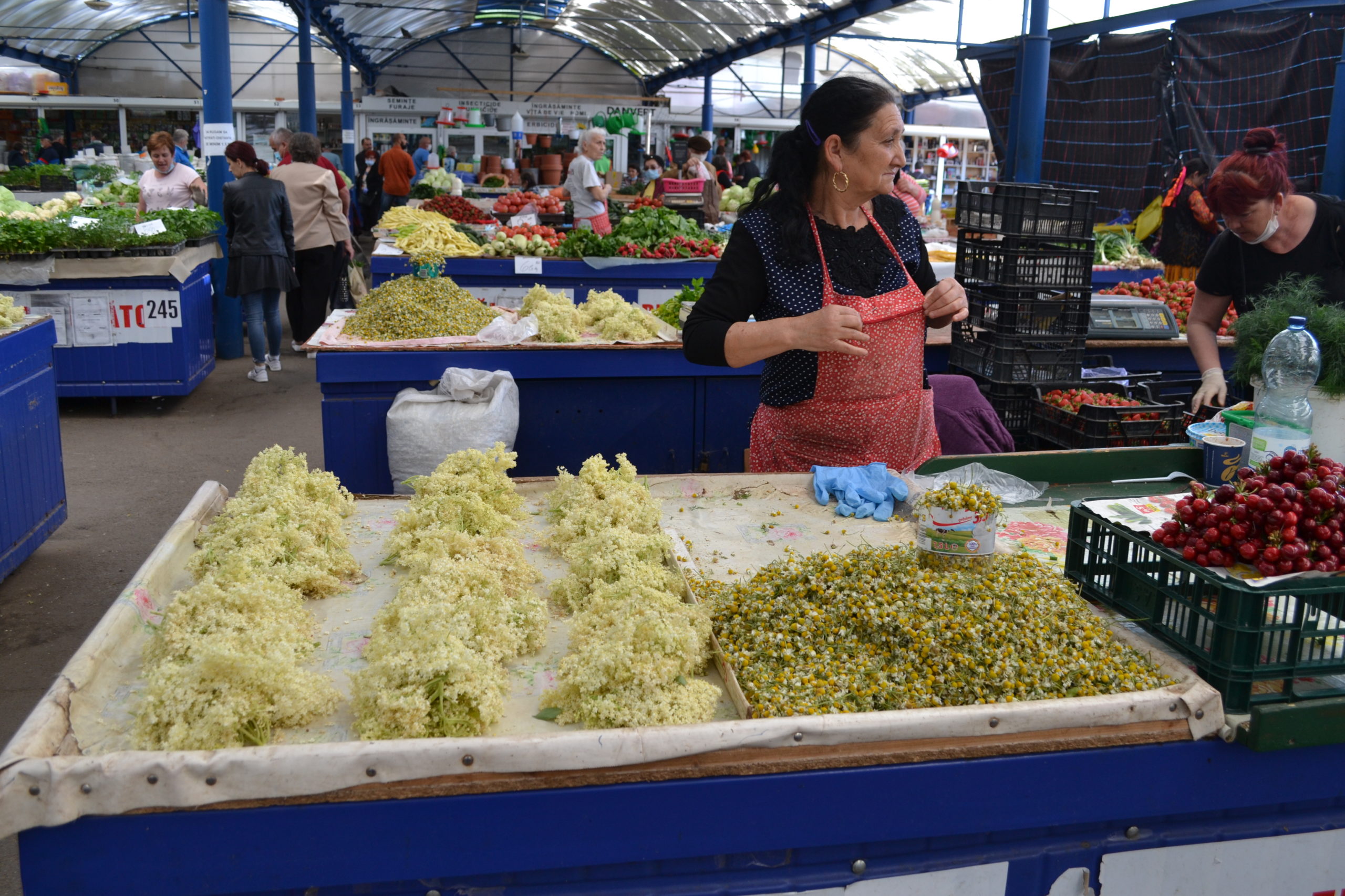 Bazar Piata Cetate (3)