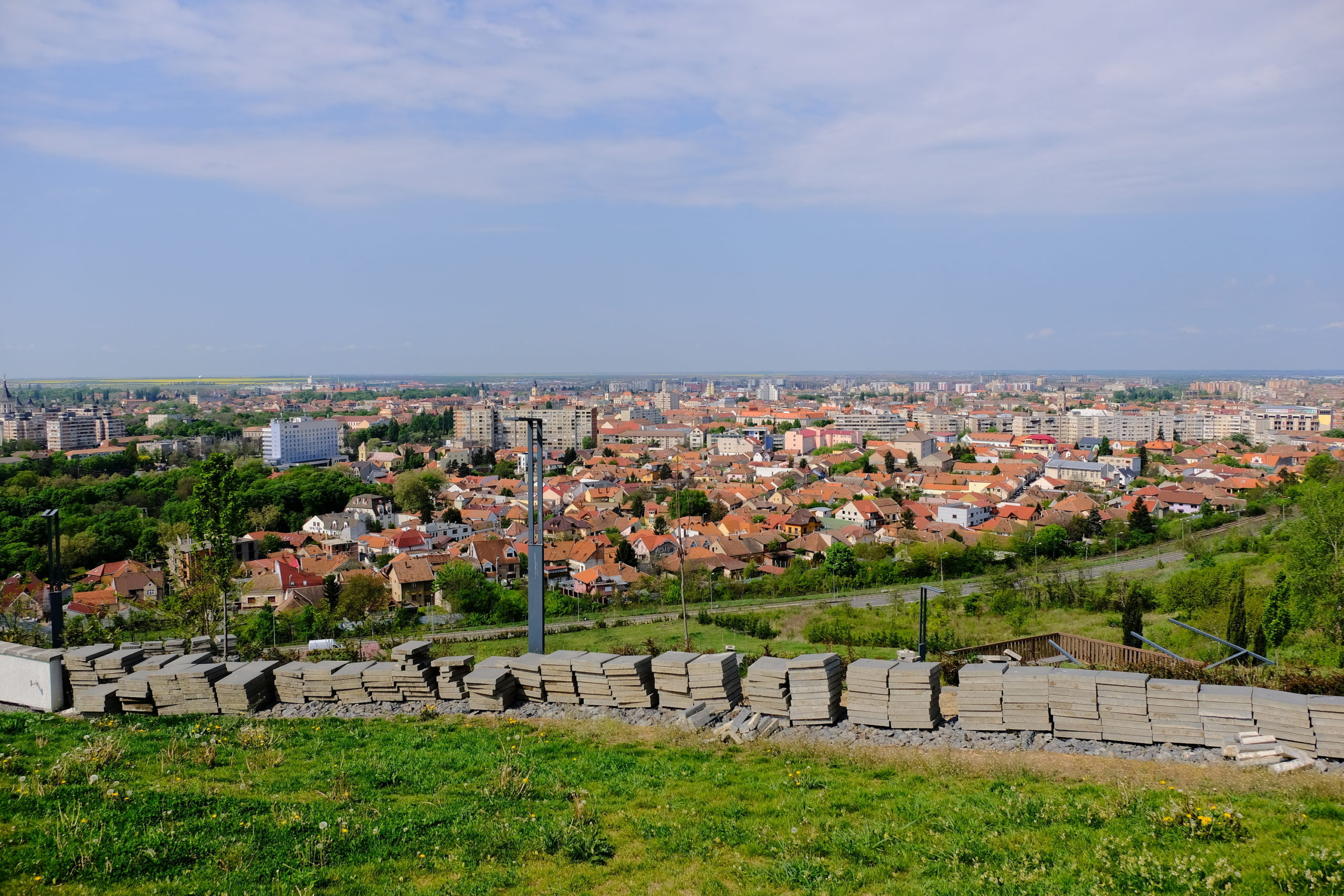 deal ciuperca oradea (2)