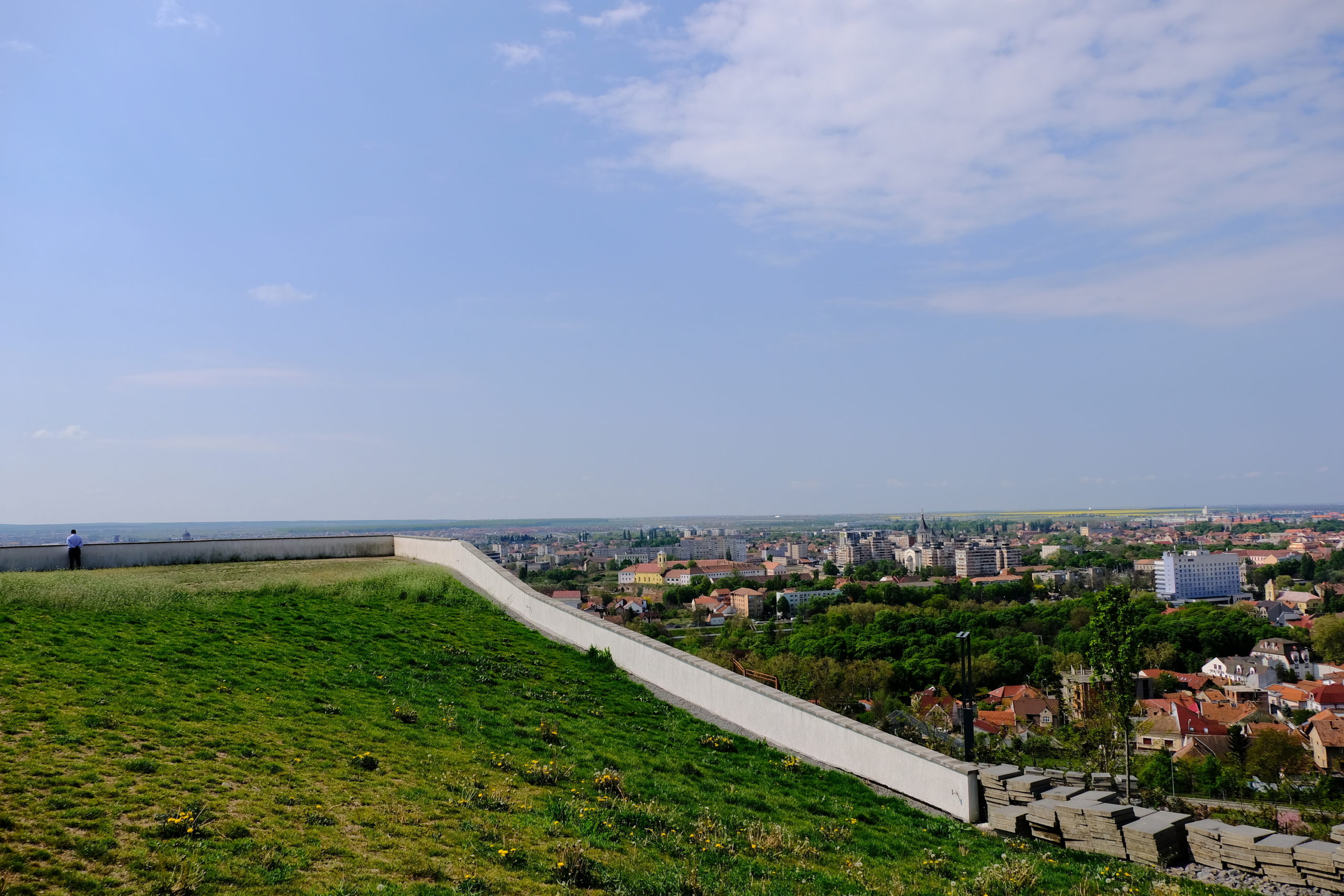 deal ciuperca oradea (3)