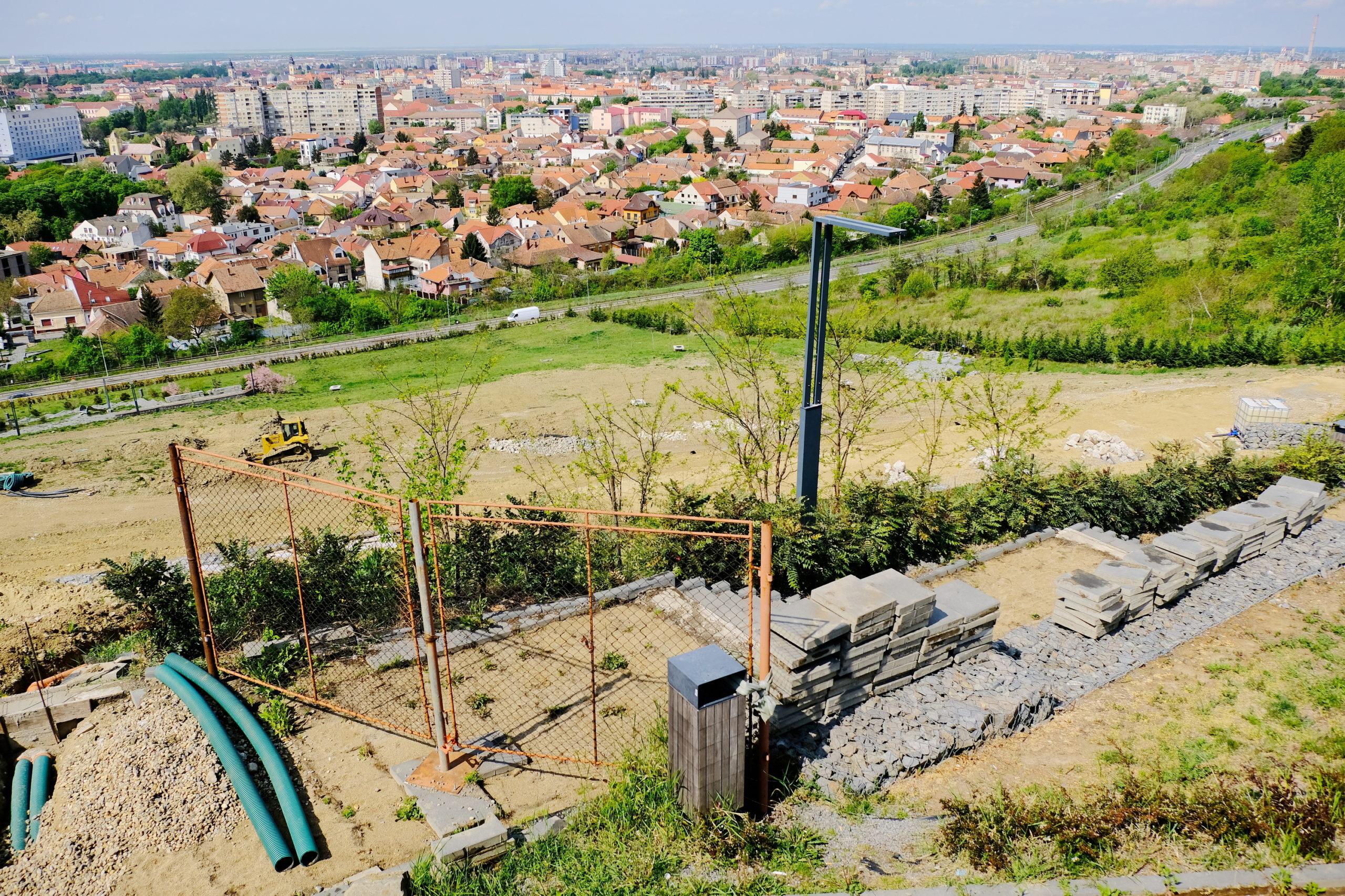 deal ciuperca oradea (5)