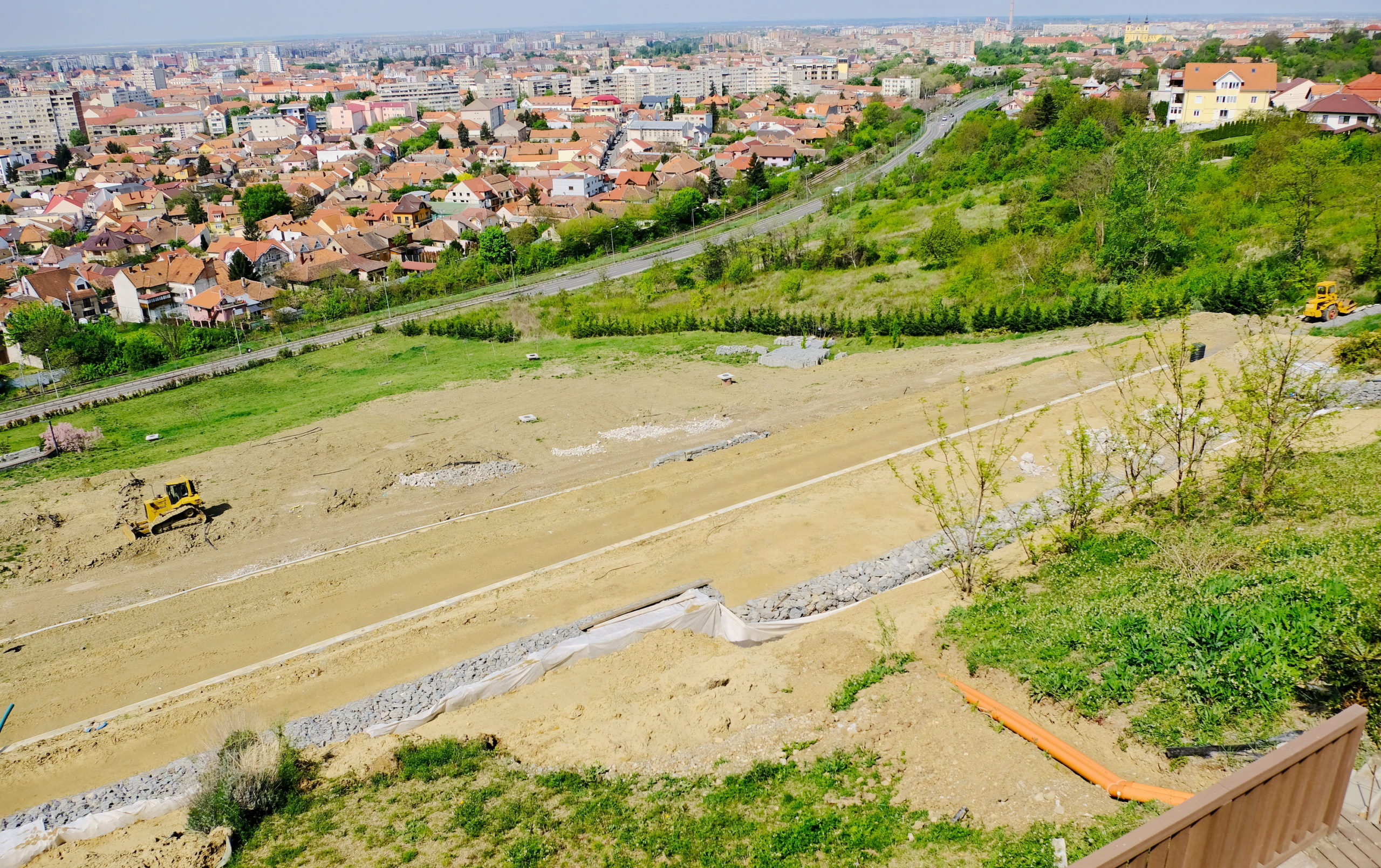 deal ciuperca oradea (6)