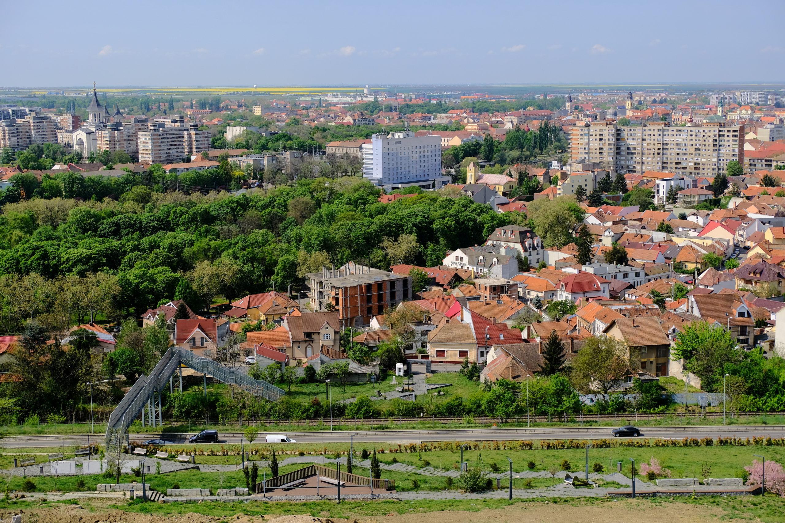 deal ciuperca oradea (7)