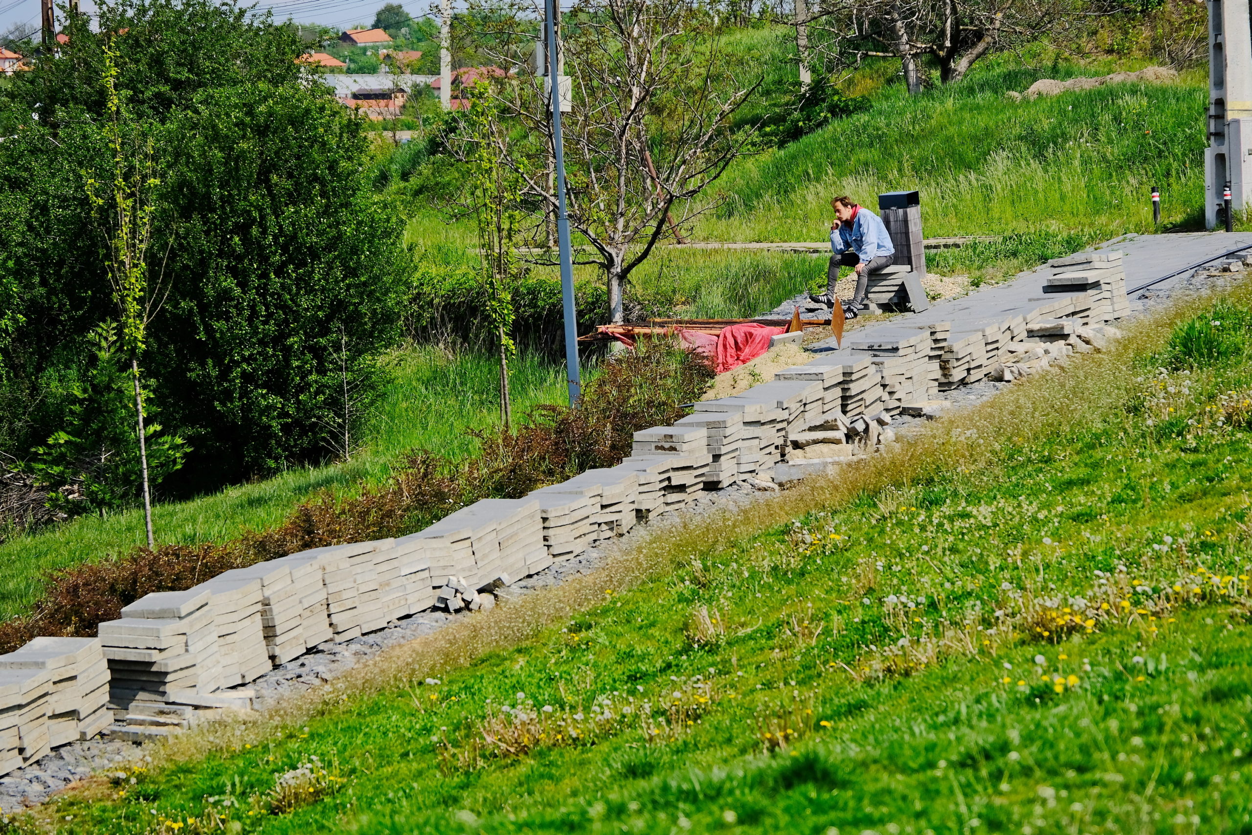 deal ciuperca oradea (8)