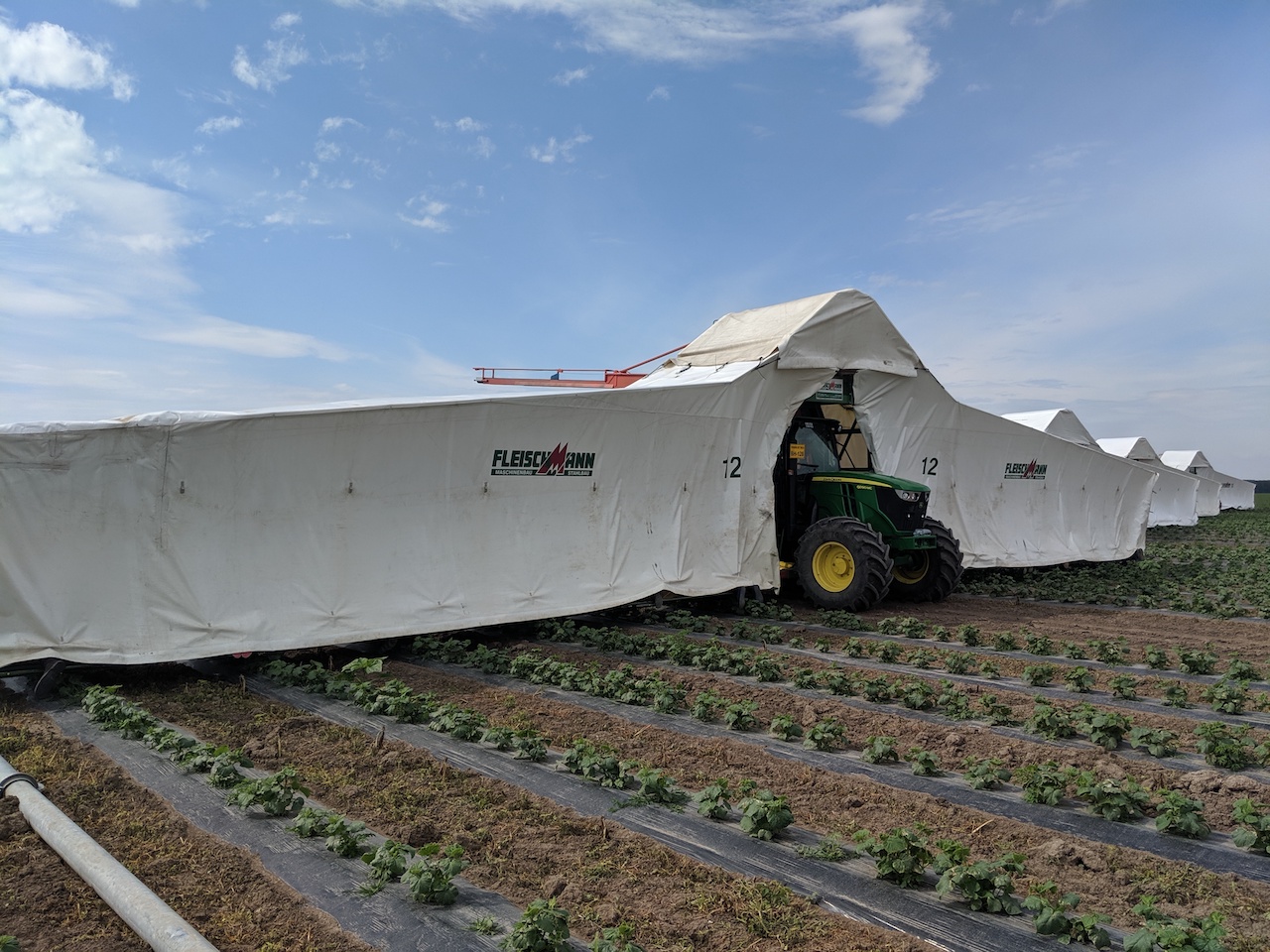 ministrul oros vizita la tinca (5)