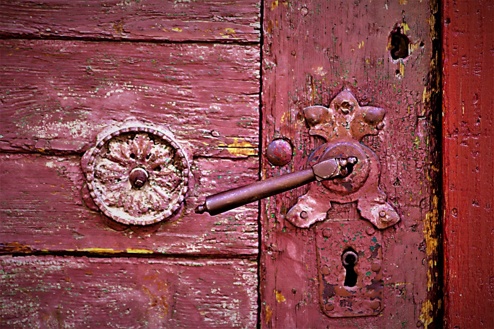 103290684_388976552055536_7736281789571890463_n