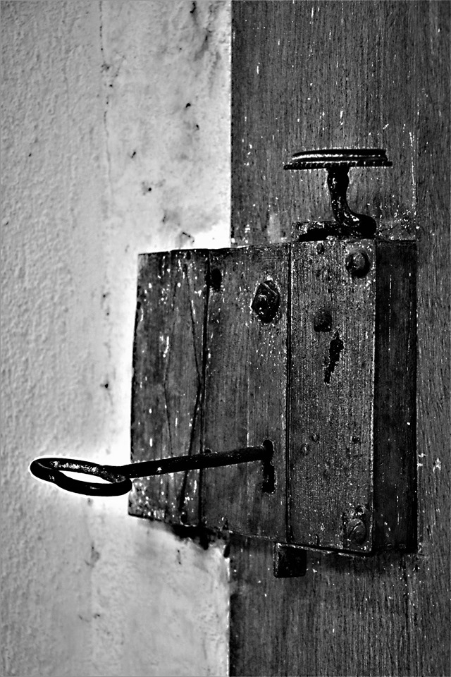 103373703_259514368693985_8195189214423446172_n