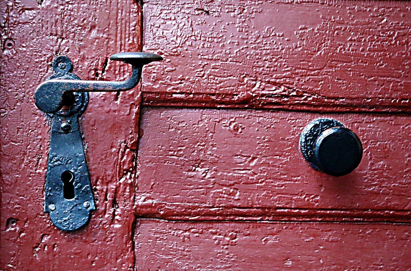 103385300_2629562883810365_4649122976049409372_n