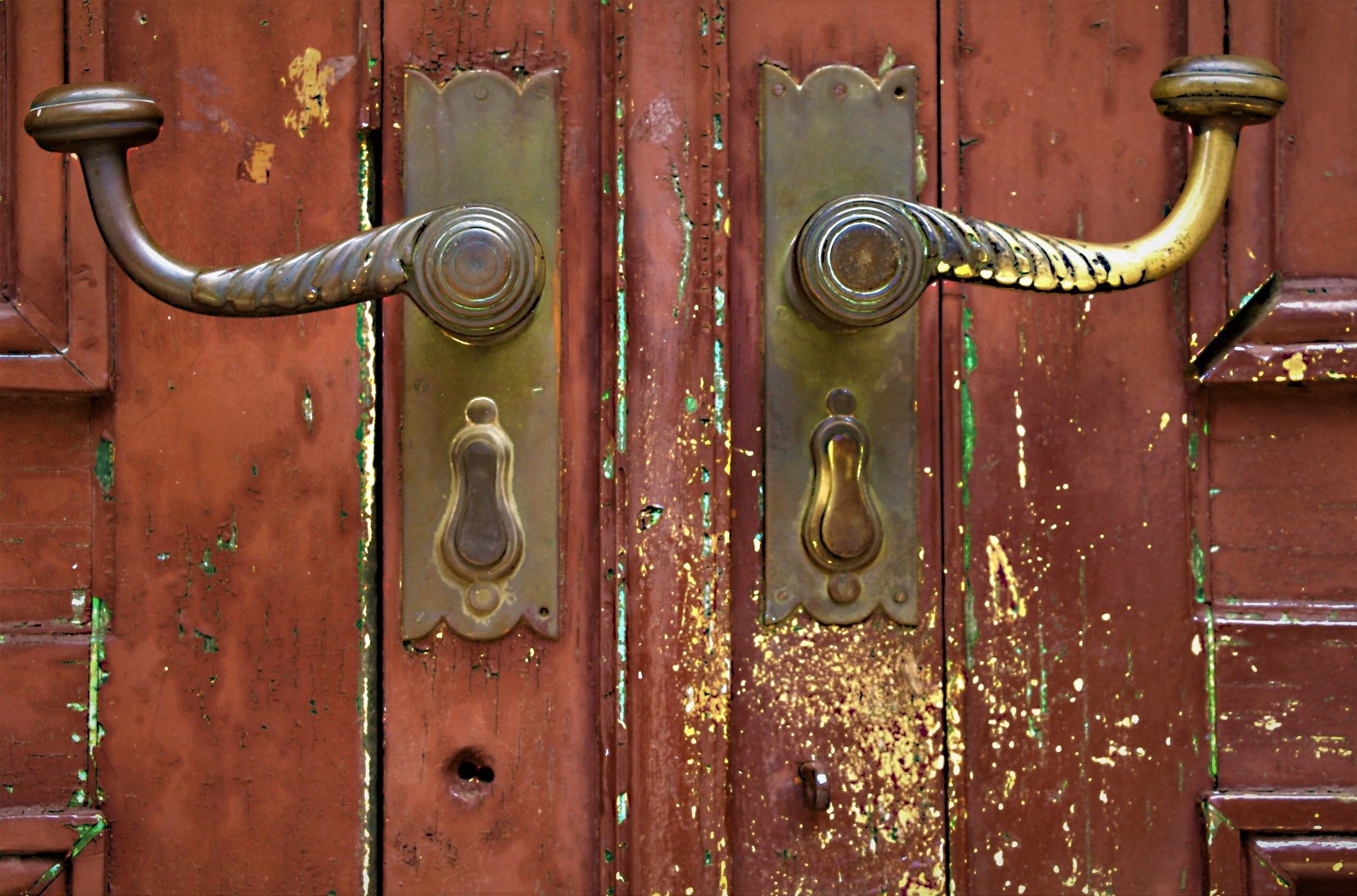 103878932_240977410537155_793151719804716023_n