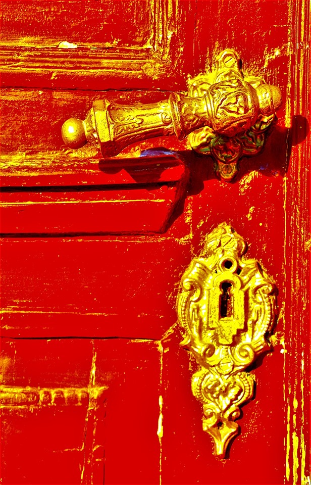 103985686_555509155352538_3743951157508658236_n