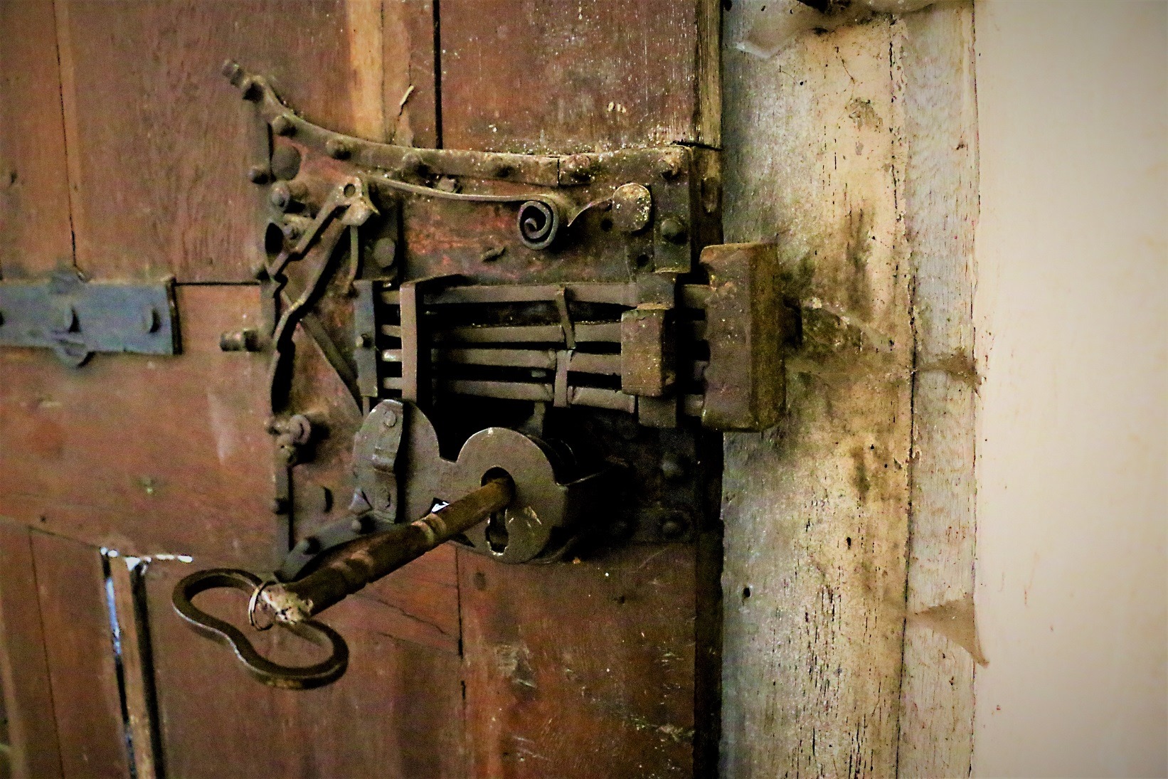 104163236_263522151553936_1925909406414866187_n