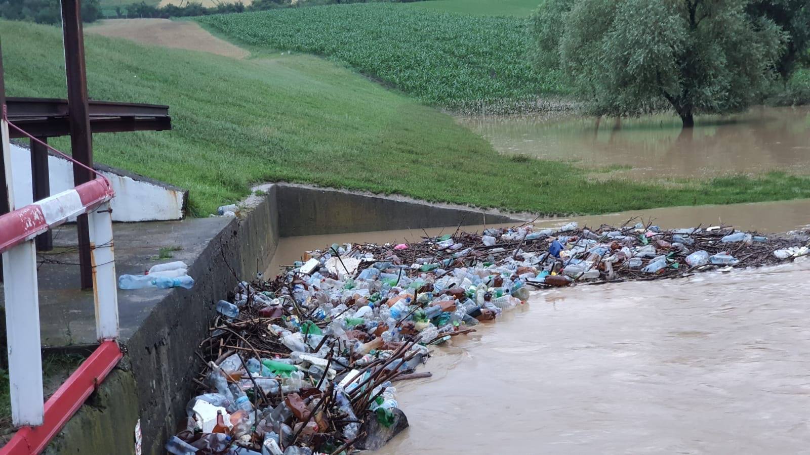 105020789_272512027159049_2999432524826414931_n