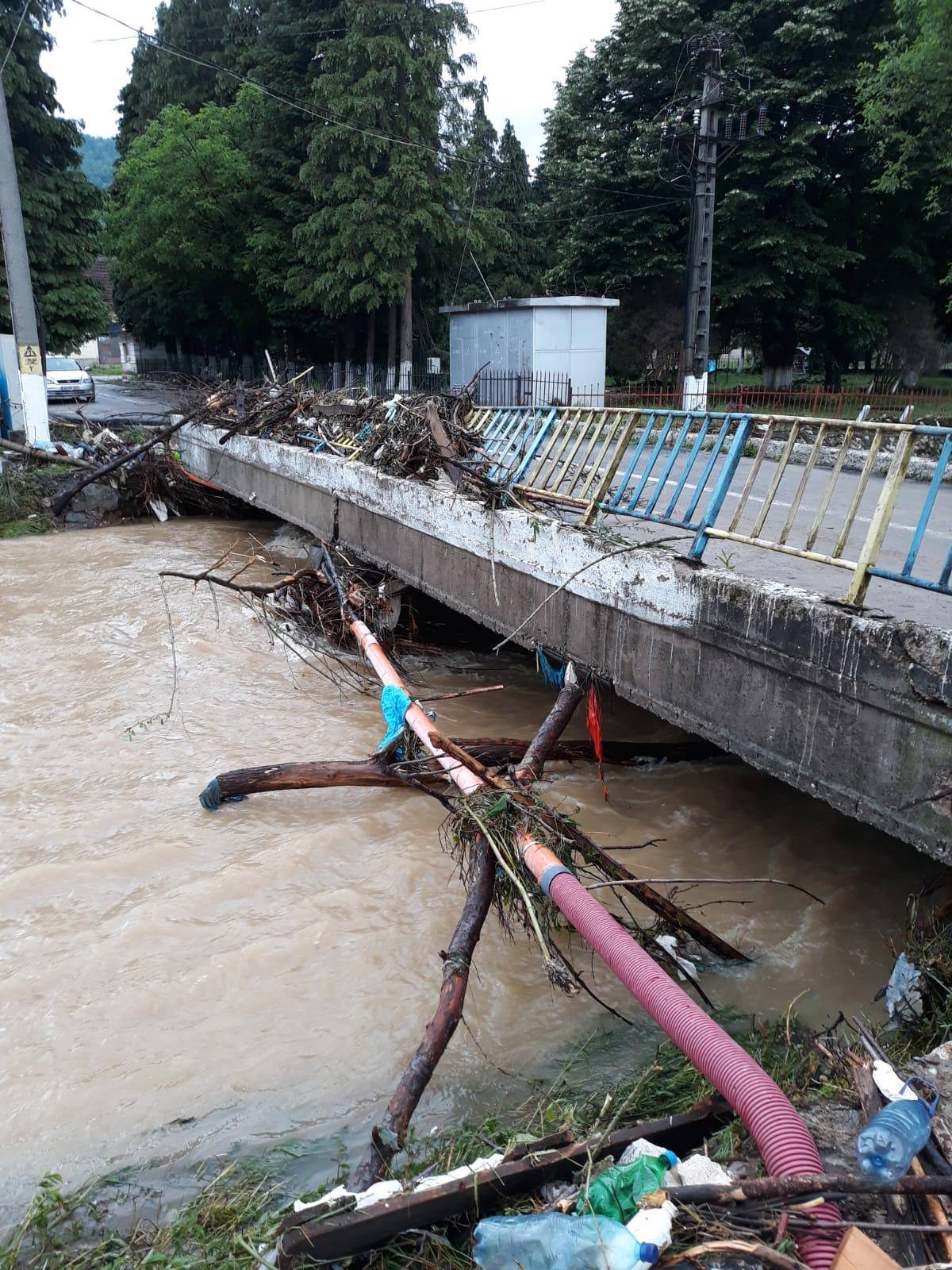 FOTO: Inundații Crișul Negru 23.06.2020