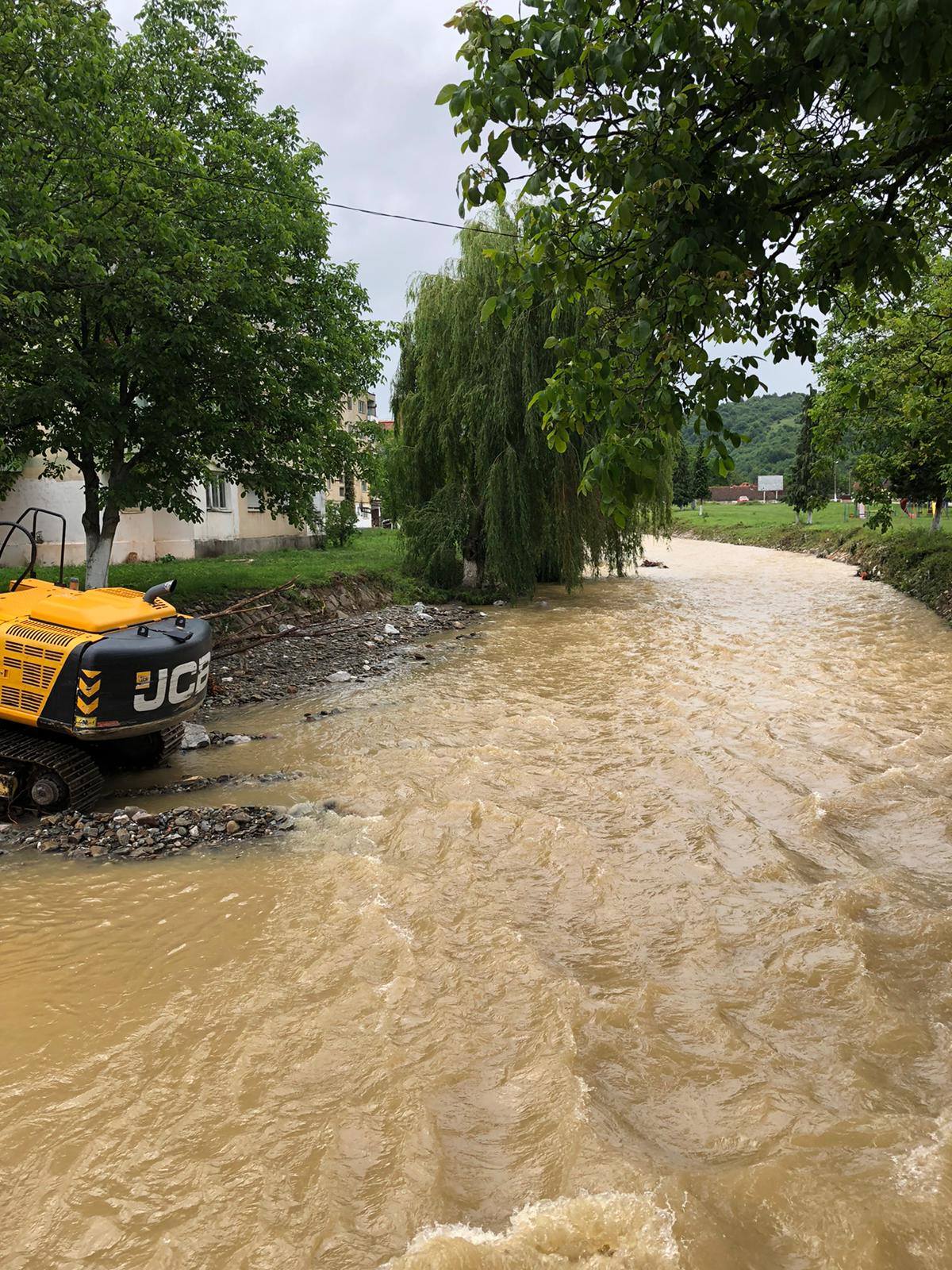 105568713_386968145592537_9138952629333043611_n