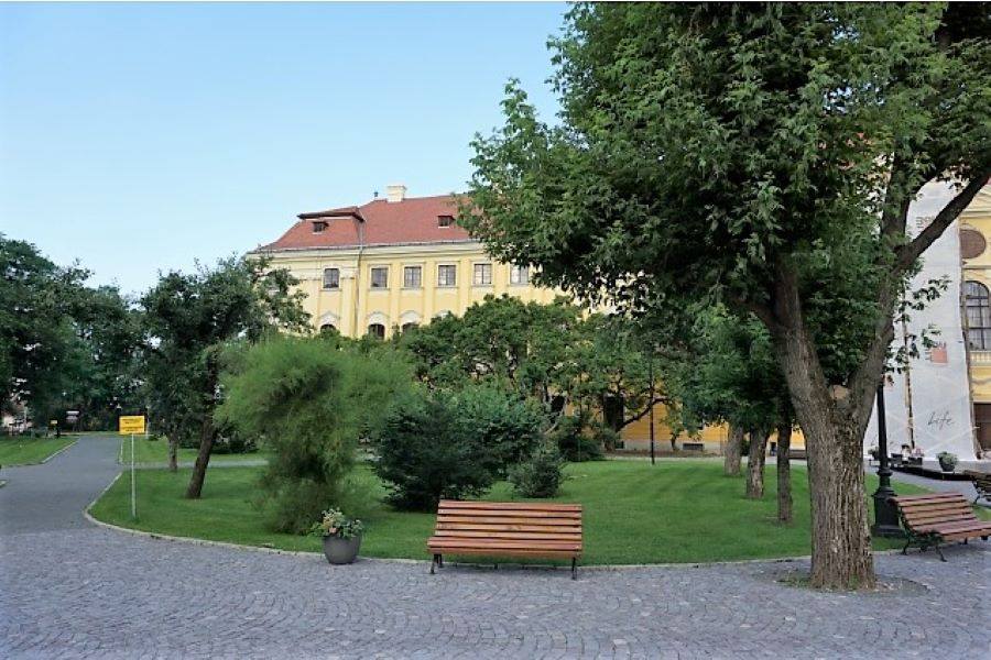 105938584_2537127909723850_4292538273225845362_n