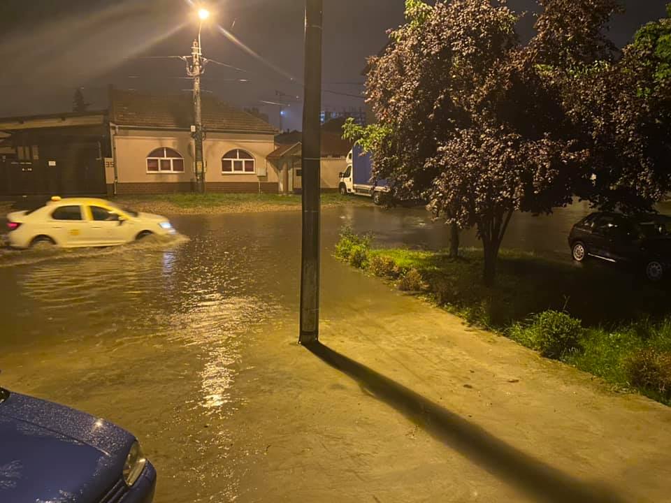 106012062_1401208890089560_7848817761677465360_n