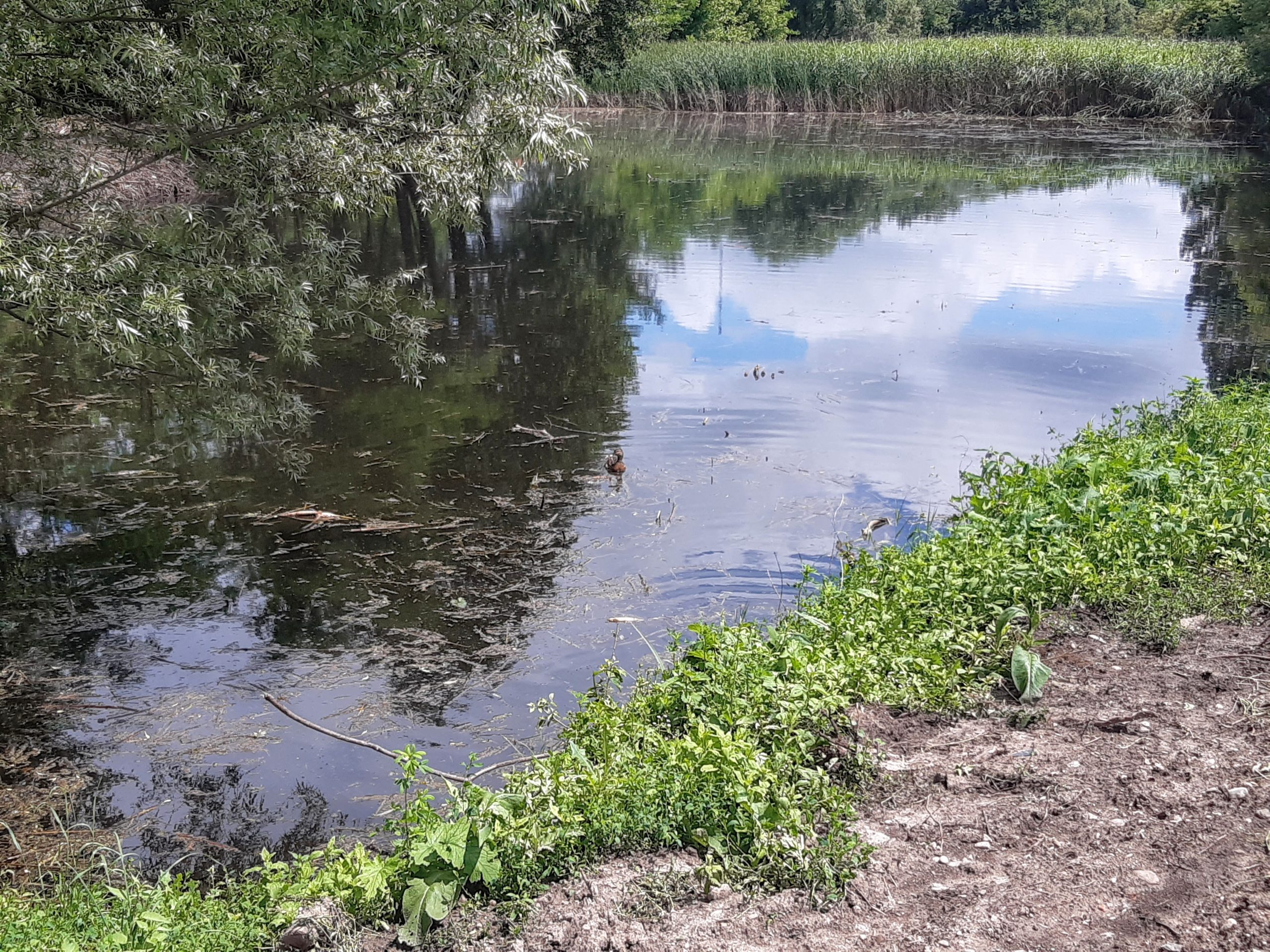 3Rate_pe_lac_rezervatie_20_K