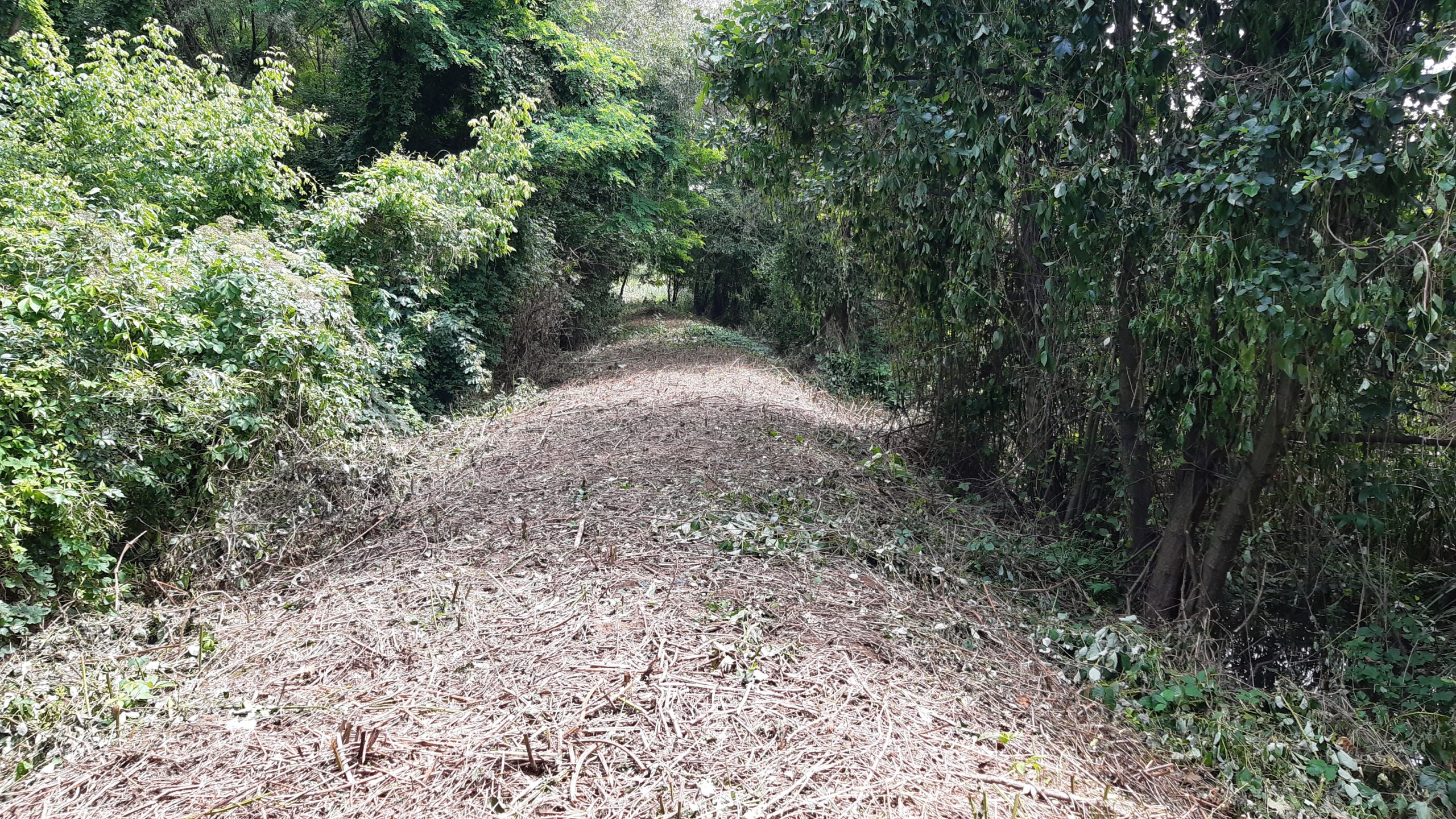 Promenada rezervatiei Peta - Baile 1 Mai_Calin (12)
