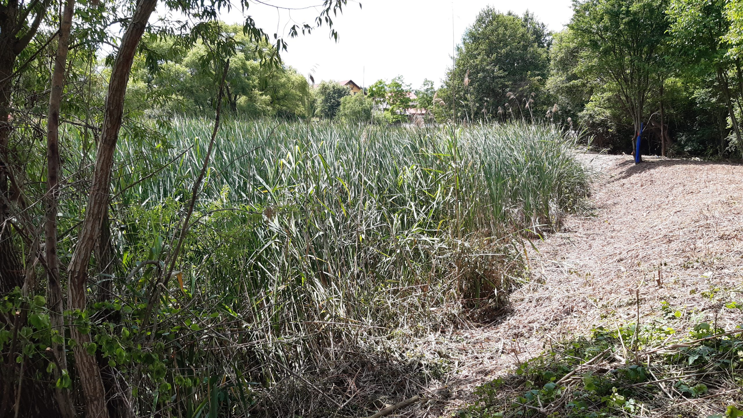 Promenada rezervatiei Peta - Baile 1 Mai_Calin (14)