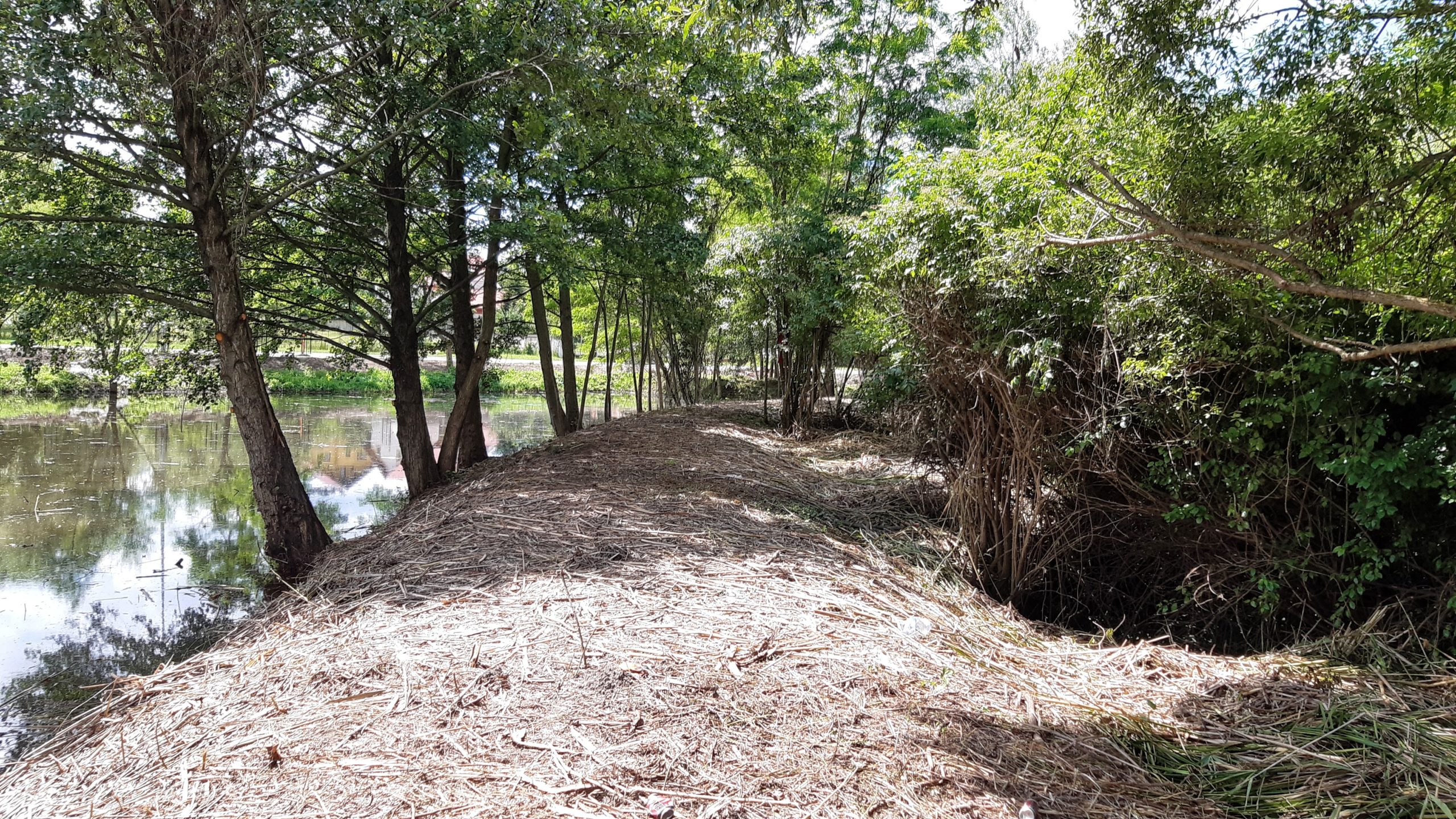 Promenada rezervatiei Peta - Baile 1 Mai_Calin (15)