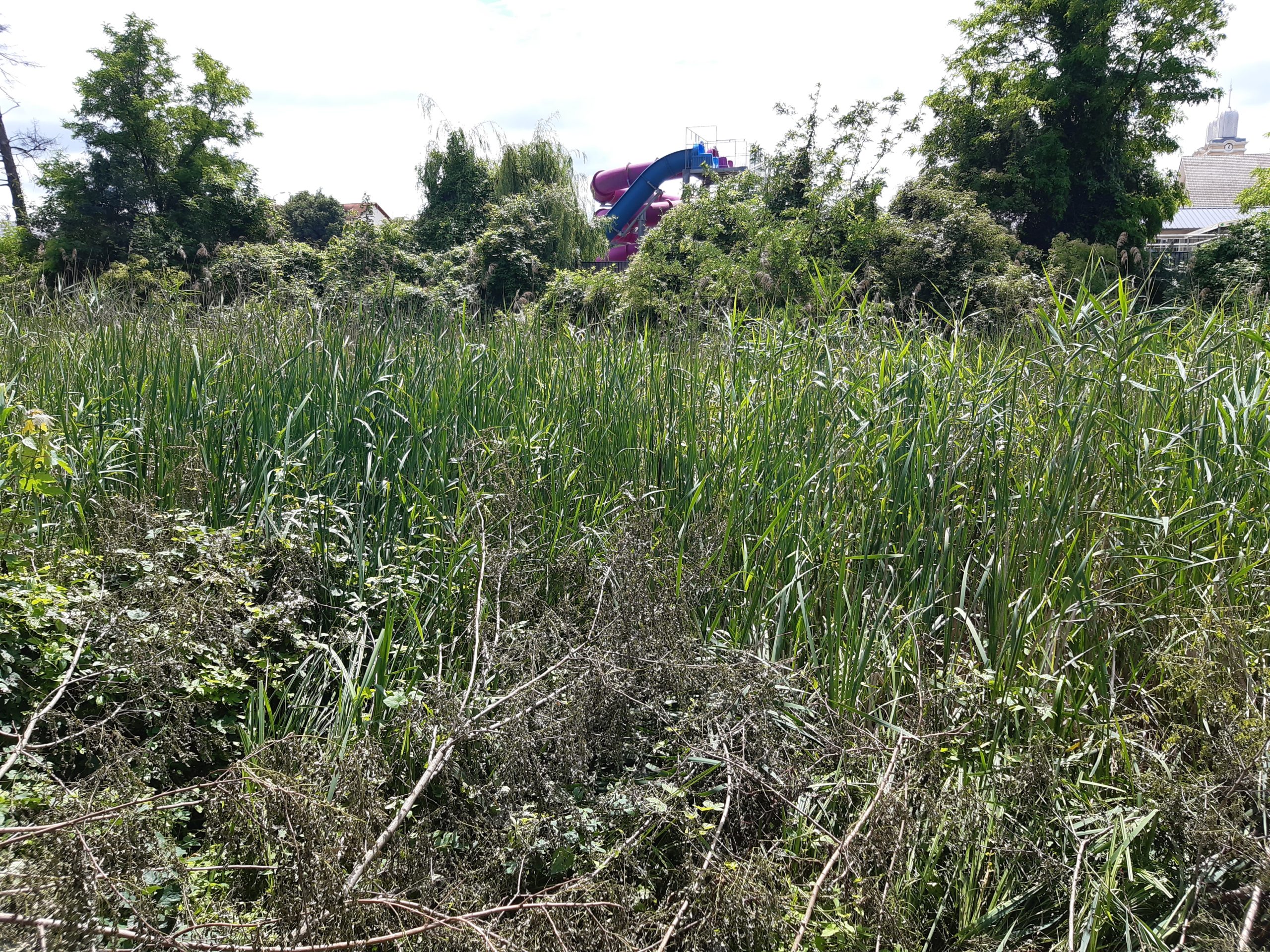 Promenada rezervatiei Peta - Baile 1 Mai_Calin (5)
