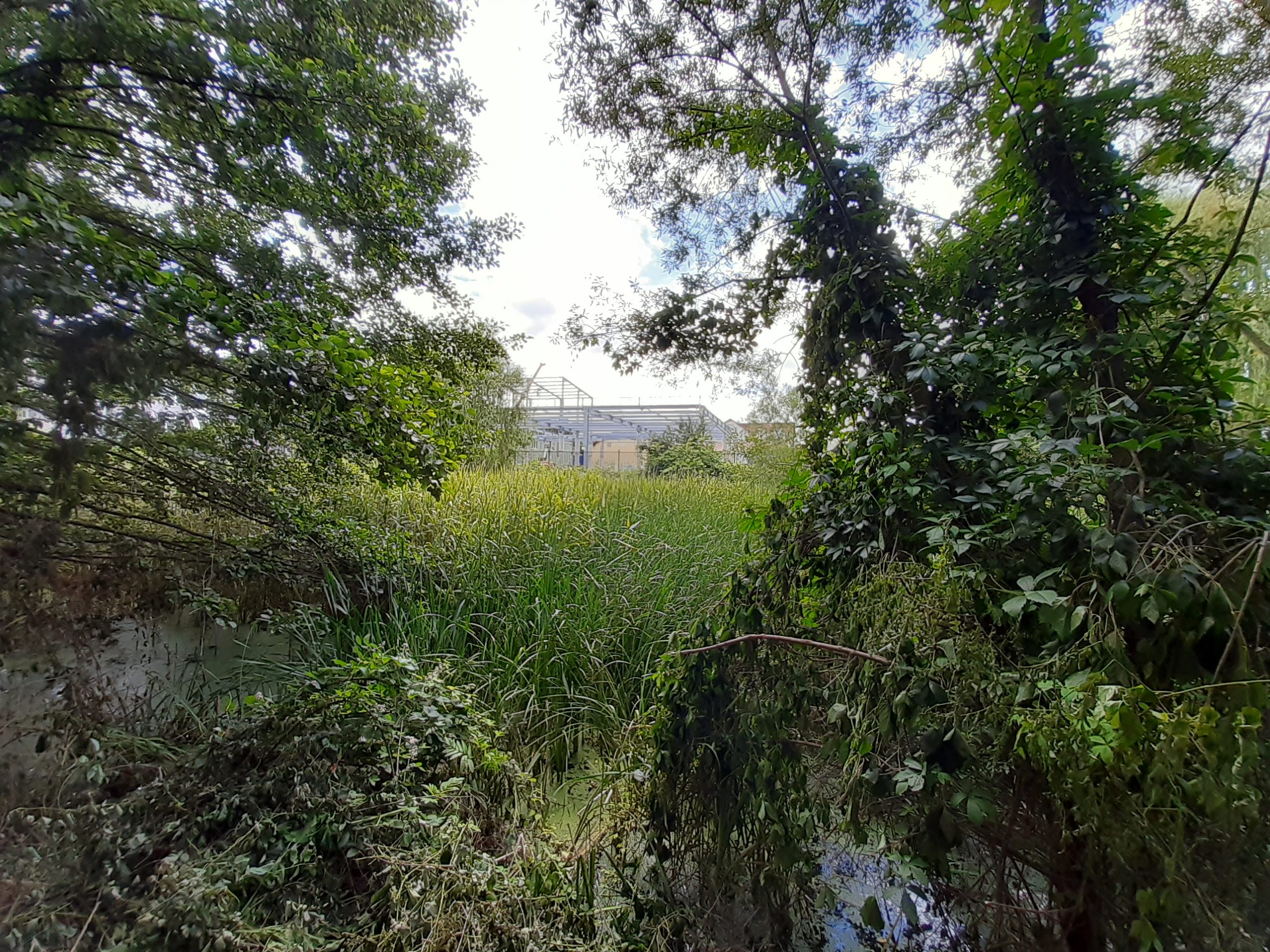 Promenada rezervatiei Peta - Baile 1 Mai_Calin (7)