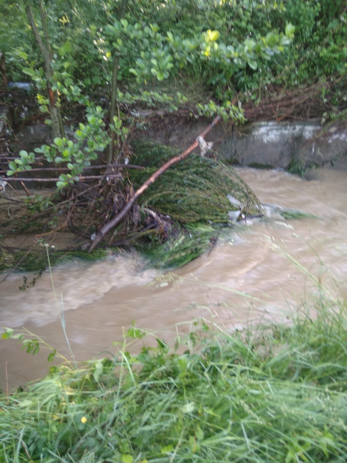 misiune căutare copil 2