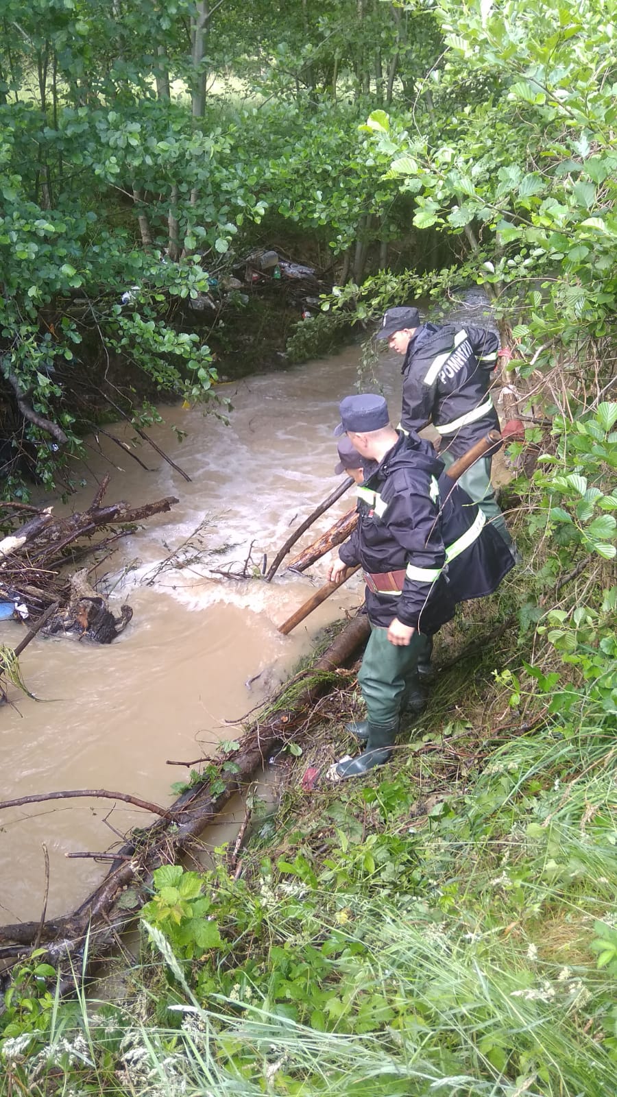 misiune căutare copil 3