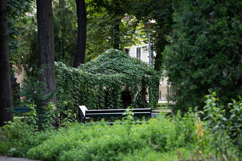 106739356_3416375788381198_3212966305757978846_o