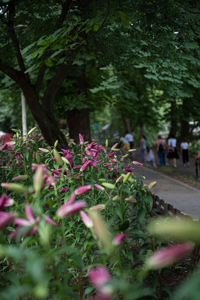 107039456_3416375495047894_490118137173361609_o