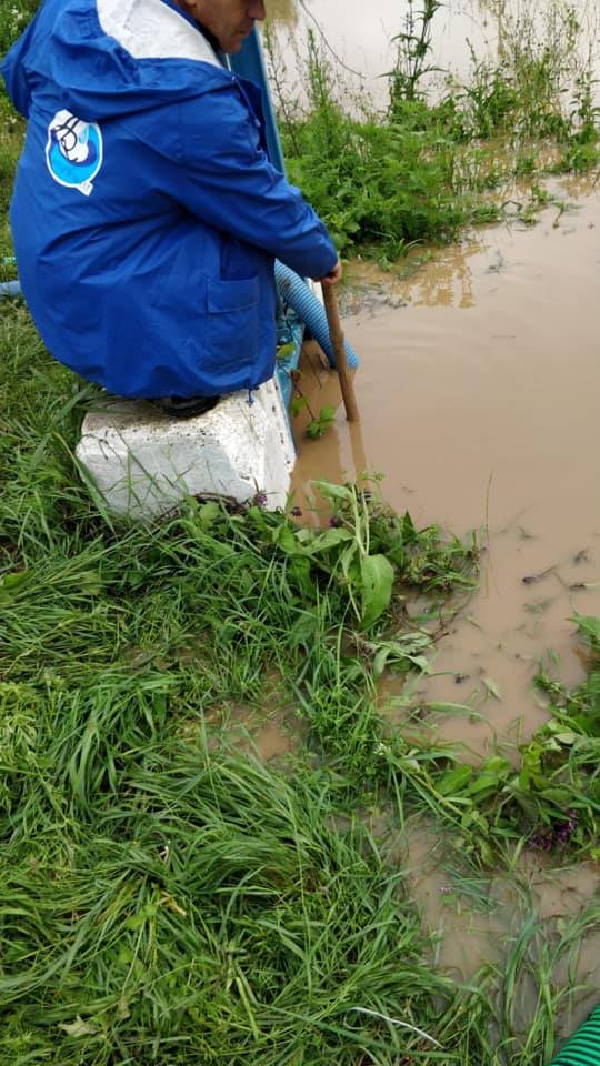 110336537_1005167516567916_7947966078820001865_n