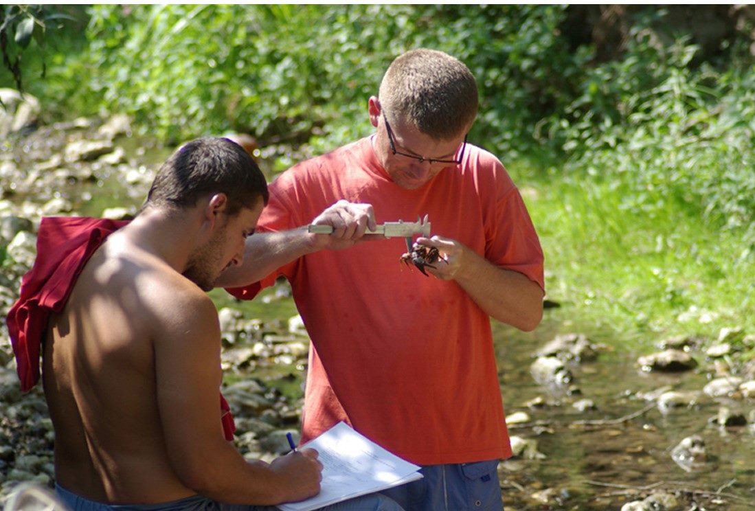 110734994_665716420953450_7991082565890201083_n