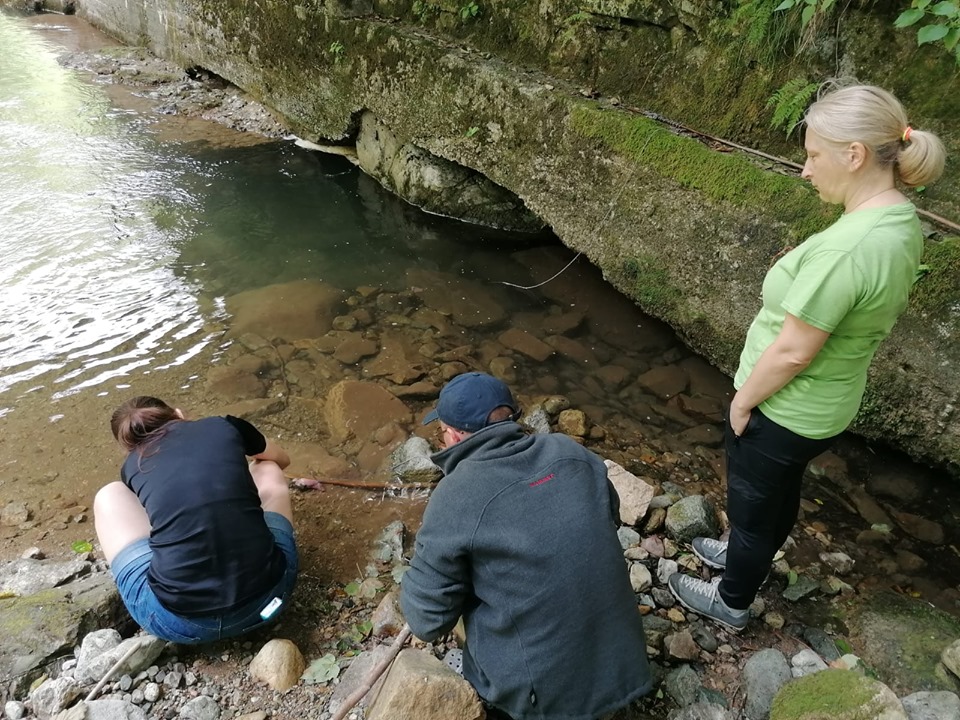 116061850_605898870067141_7965747750884370509_n