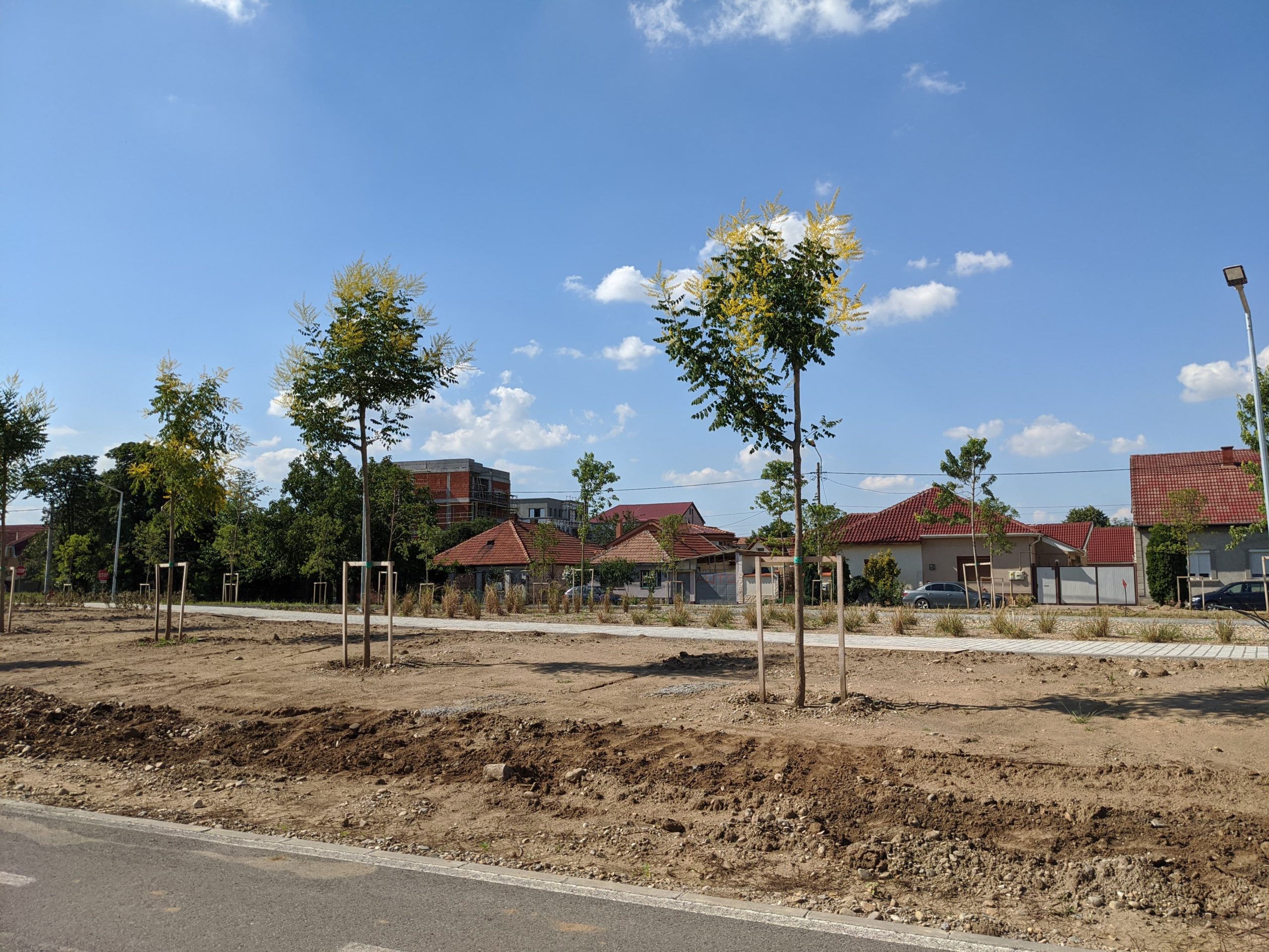 culoar verde barcaului oradea (9)