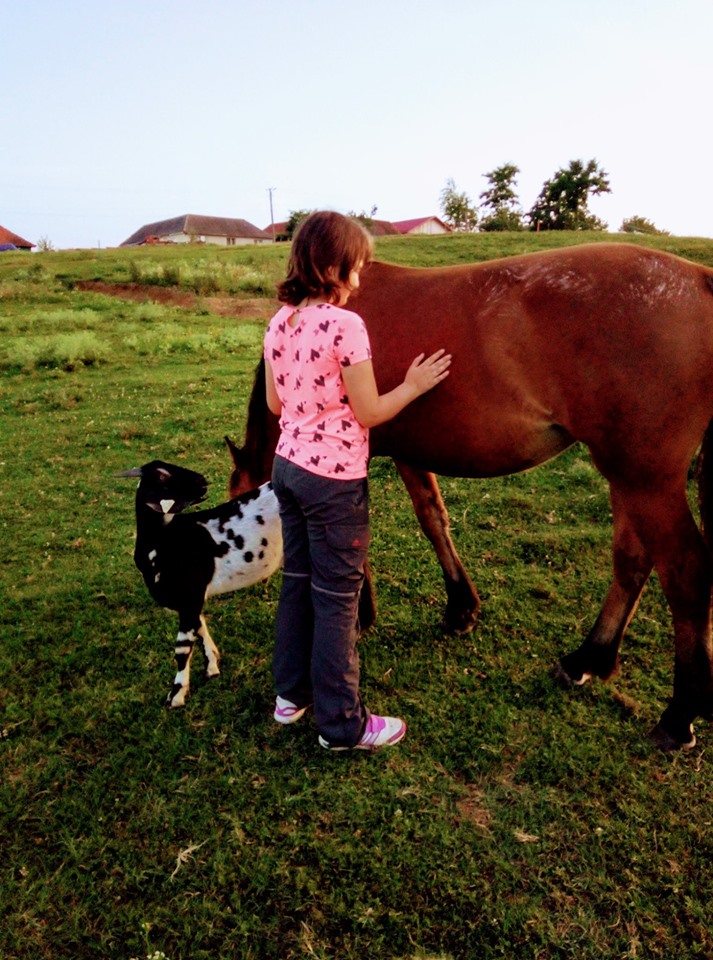 tabara de creatie zona zmeilor (3)