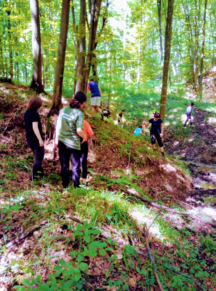 tabara de creatie zona zmeilor (4)