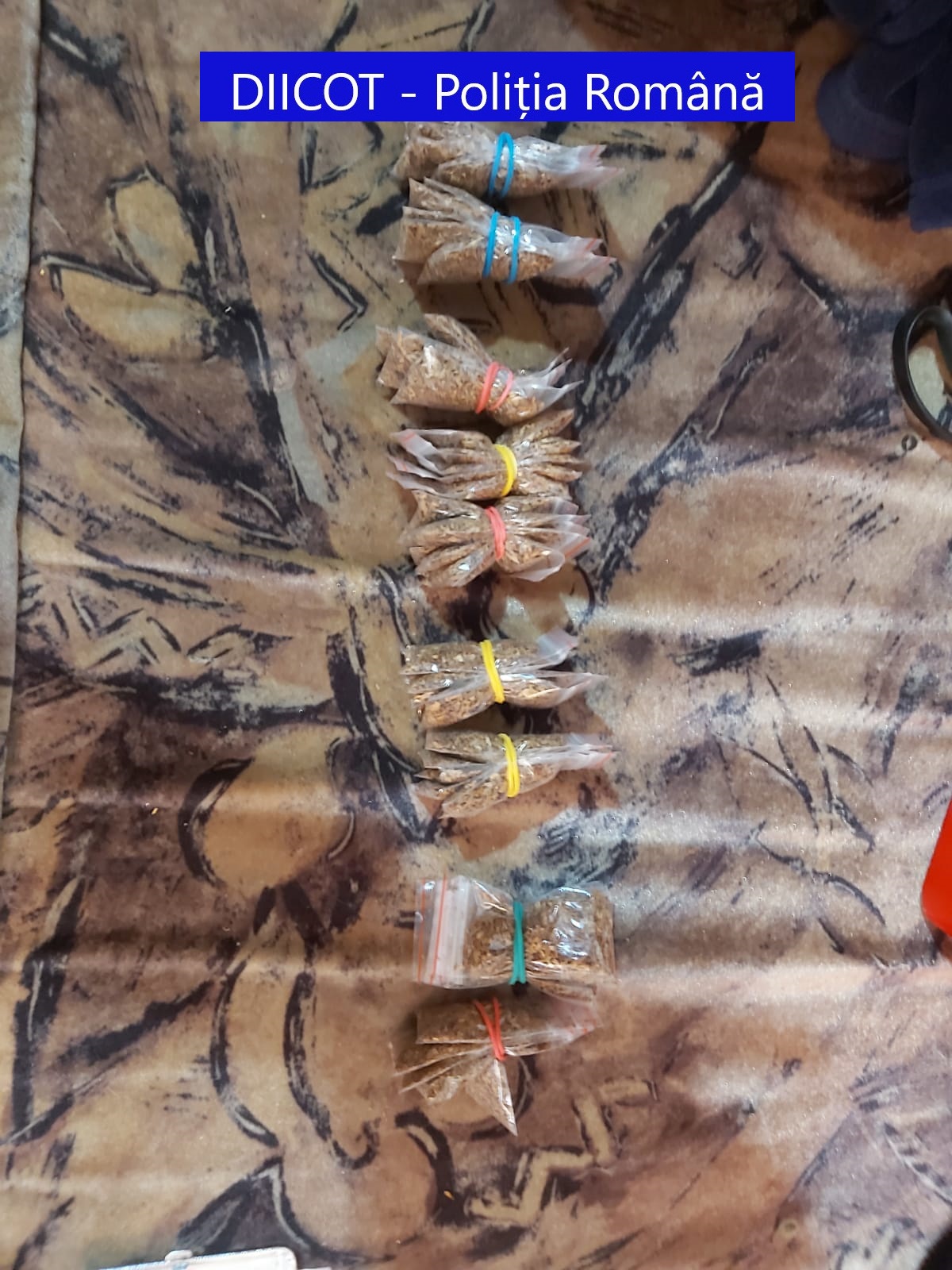 trafic de droguri oradea (11)